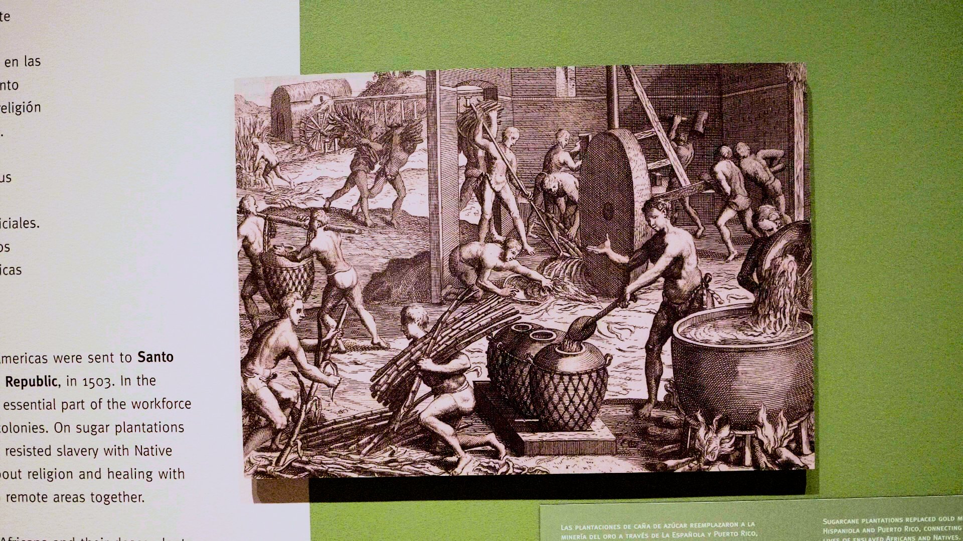 Taino v3.00_00_26_06.Still018.jpg