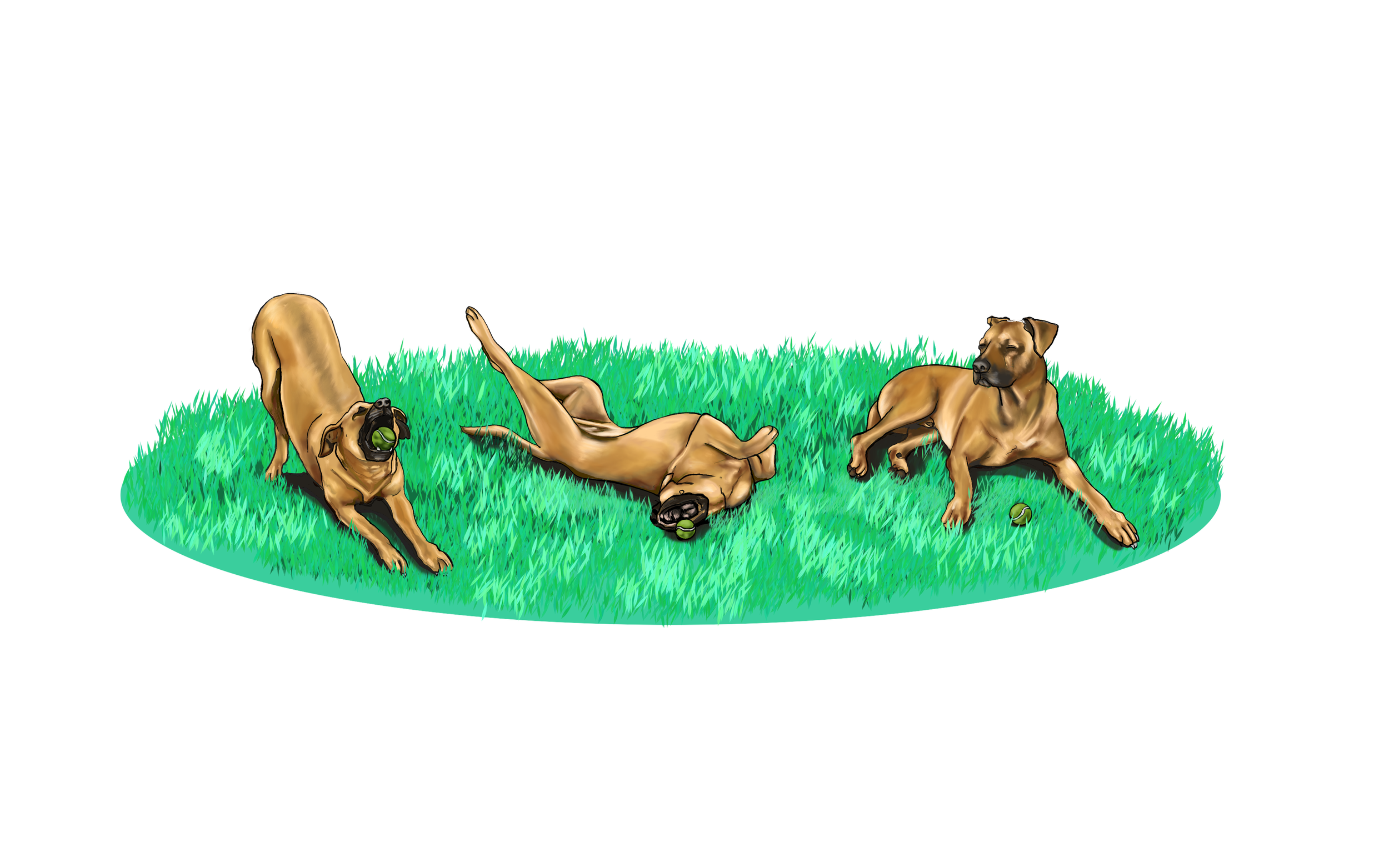 Sundance triptych, 2023. I made this portrait of my best friend's pup, Sundance. He loved to lay in the sun, play fetch and roll around in the grass with his tennis ball. My favorite pose of his was when he would sit with his stoic meditative closed 