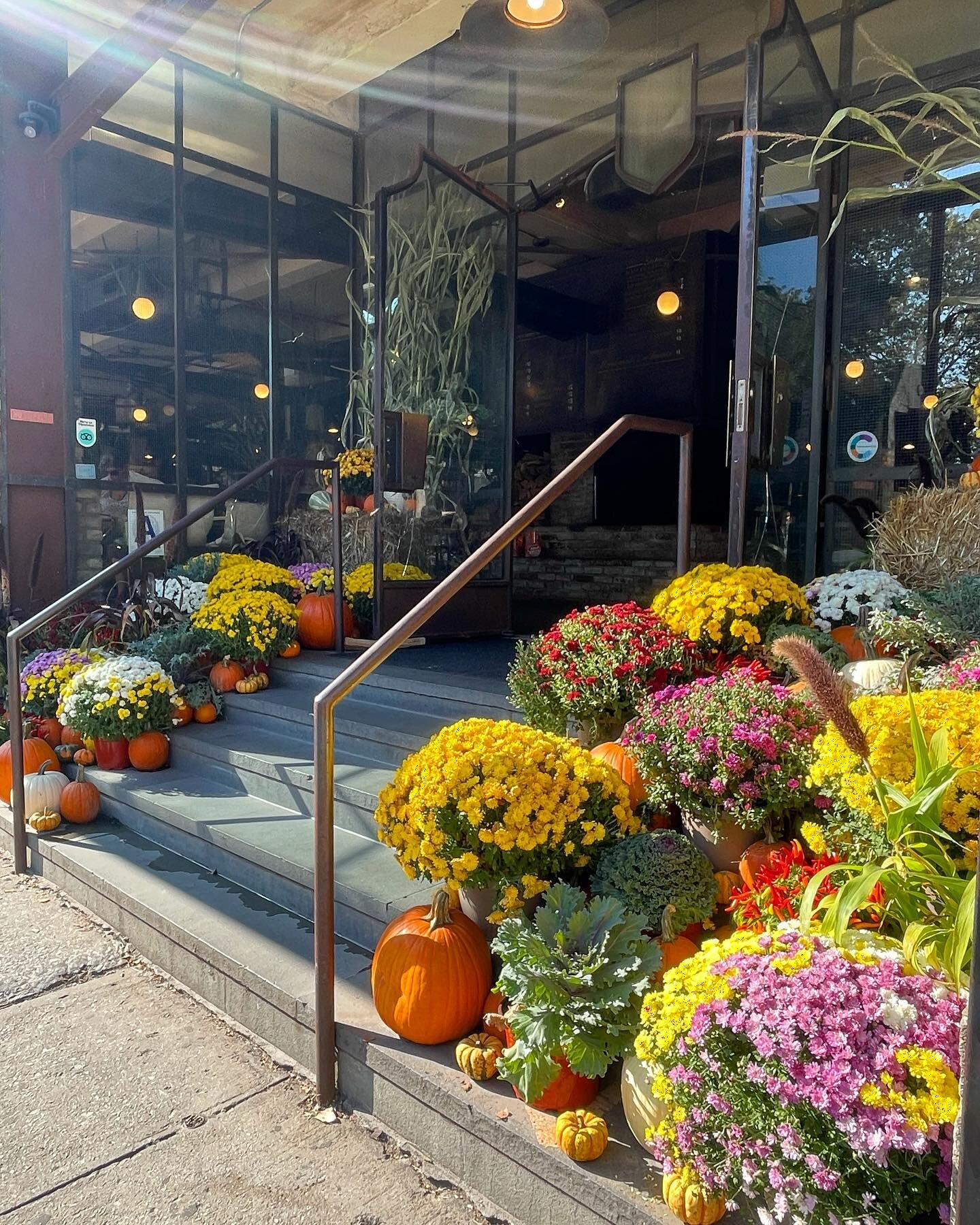 Our favorite time of year! 🍁🍻🍂🎃 

Oktoberfest beers + ciders are waiting for you. Outdoor seating available.

-
#spritzenhaus #nycbar #williamsburg #greenpoint #brooklynbars #infatuationnyc #greenpointers #nycdrinks  #timeoutnyc #oktoberfestnyc
