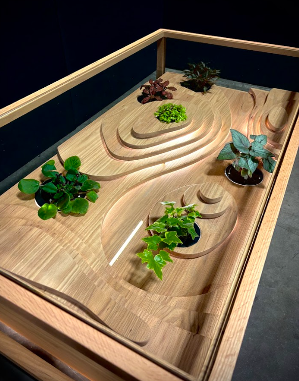Topographical Plant Coffee Table