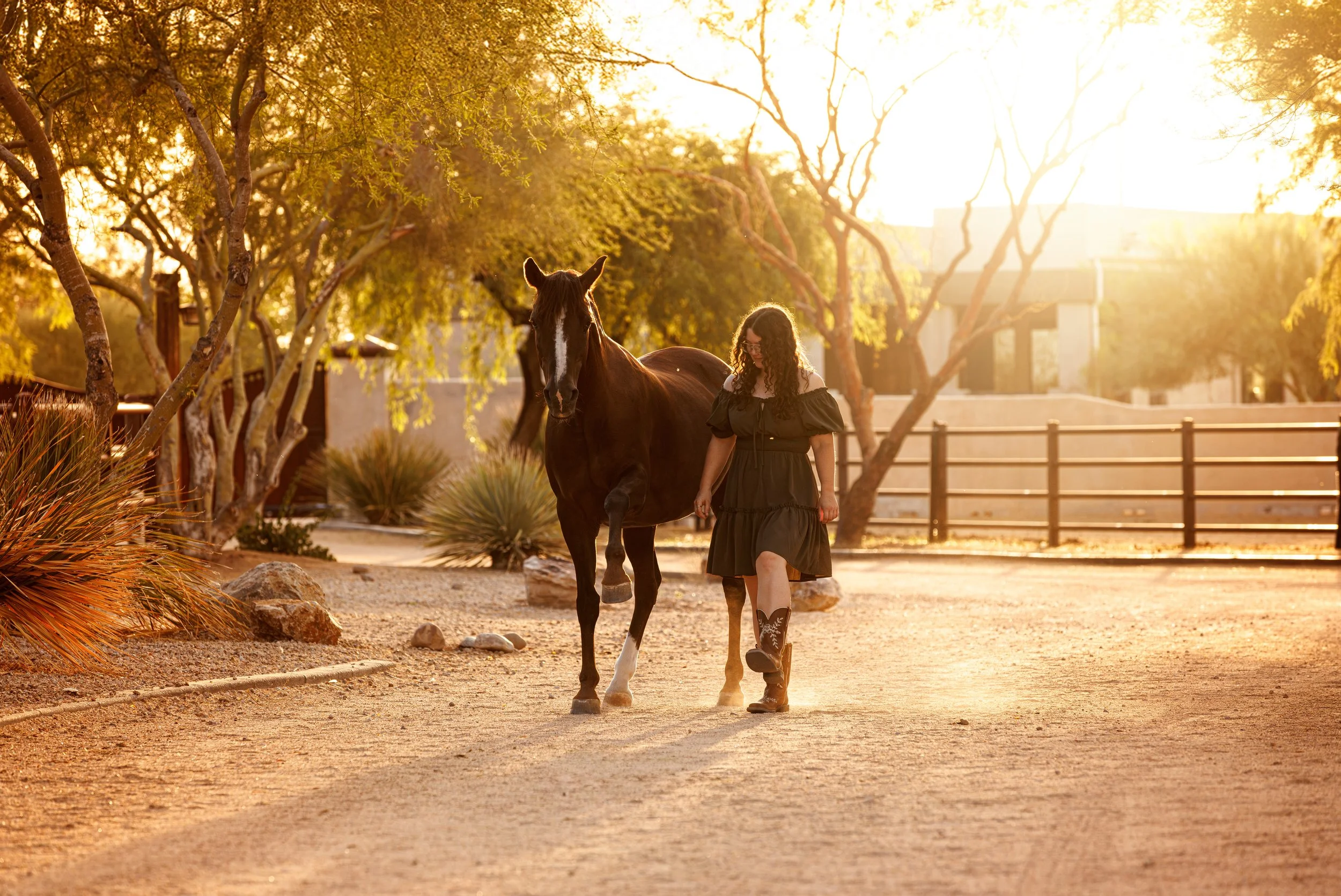 Horse and Rider Session
