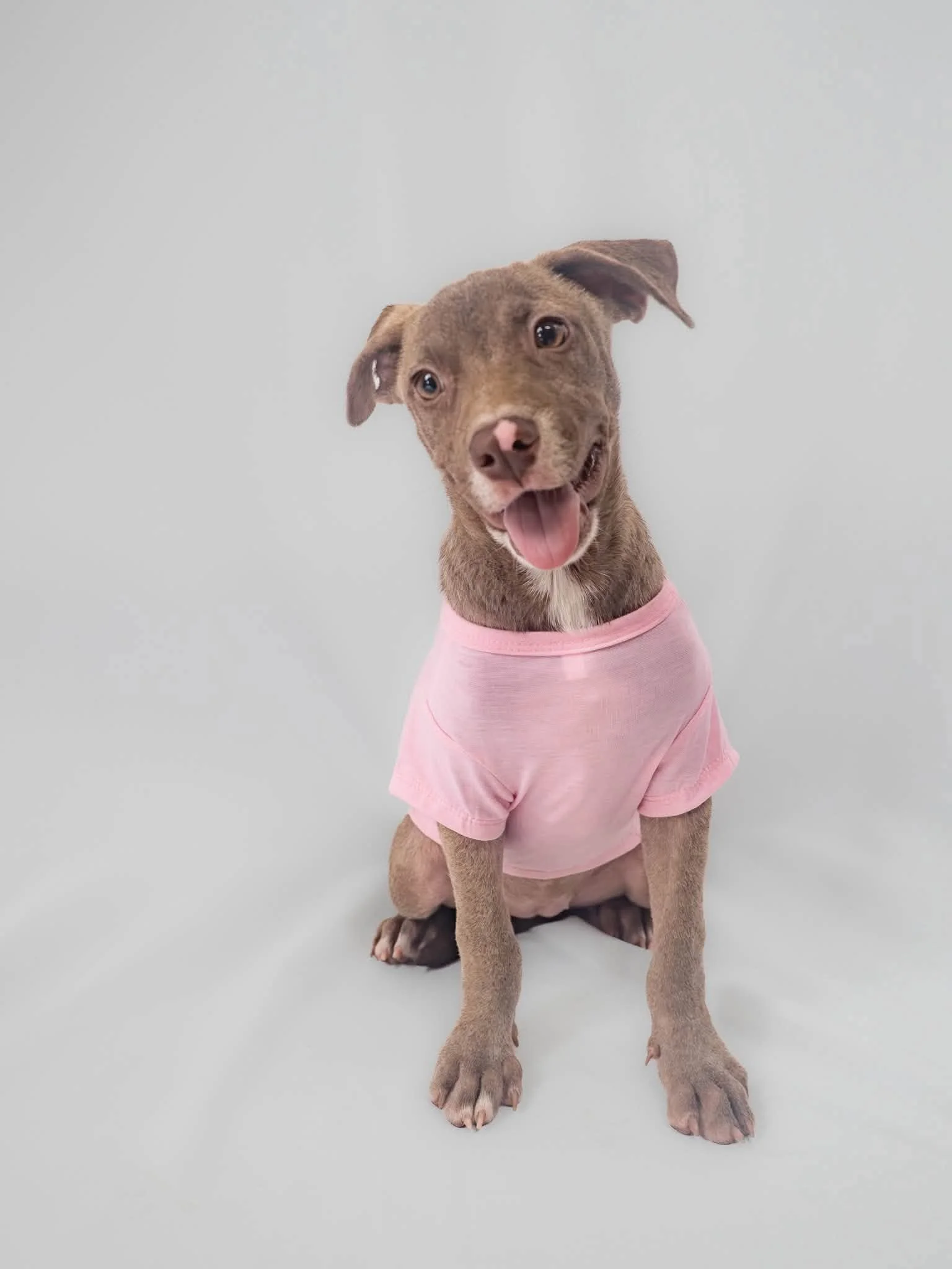 Meet Ellie!