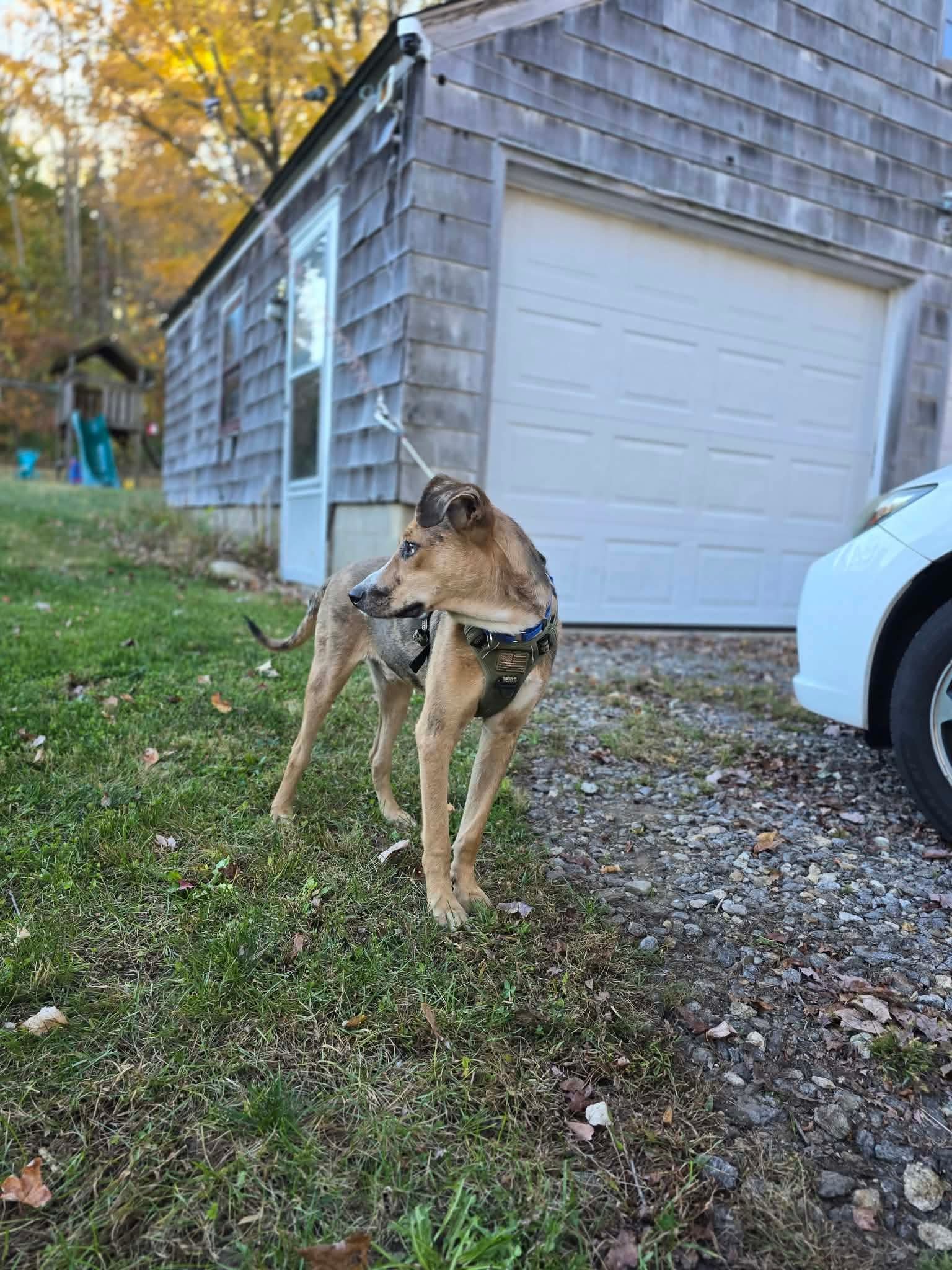 e616ab236b9072cf224bc3c82f00936c.jpeg