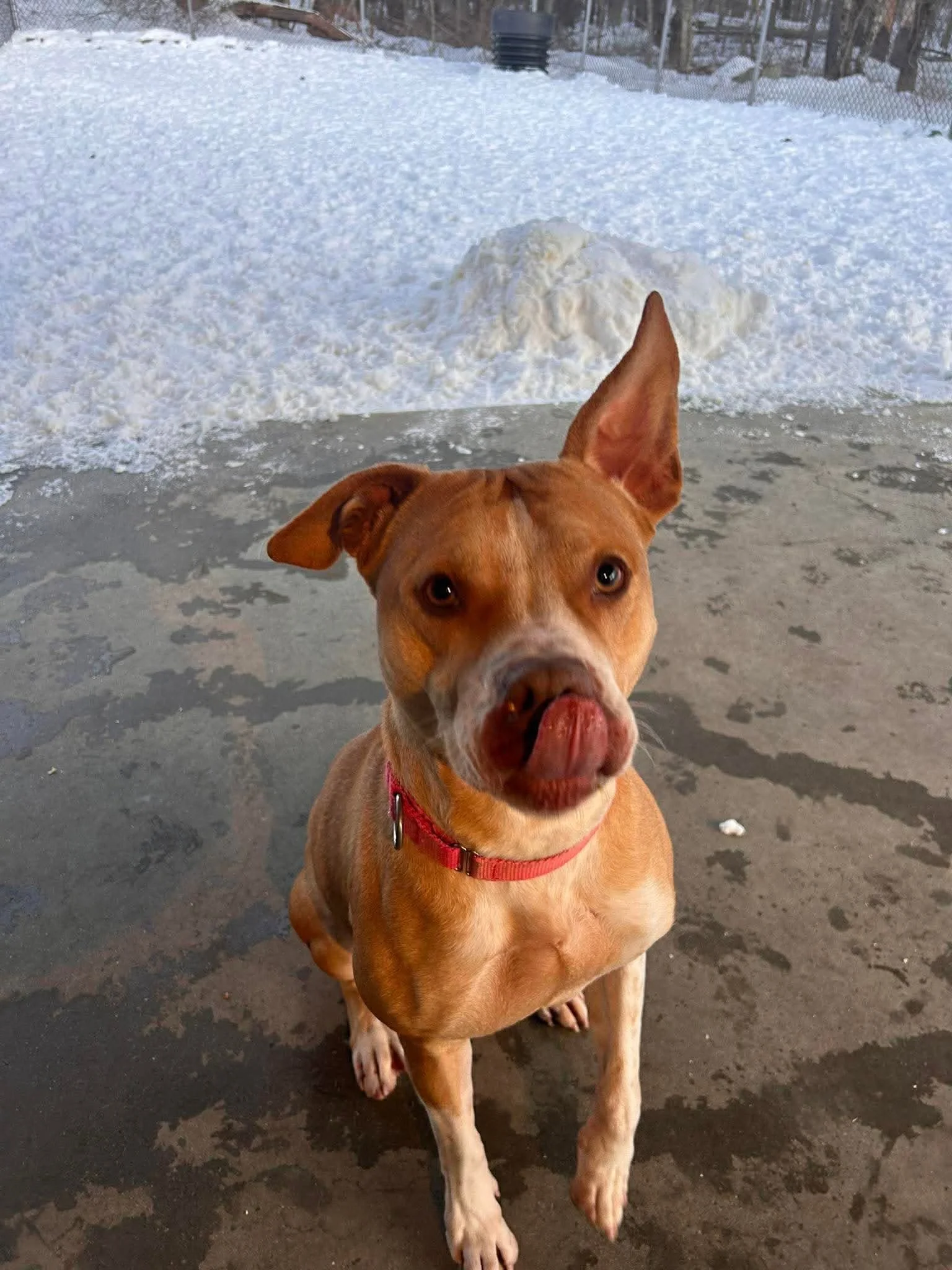 Meet Neva!