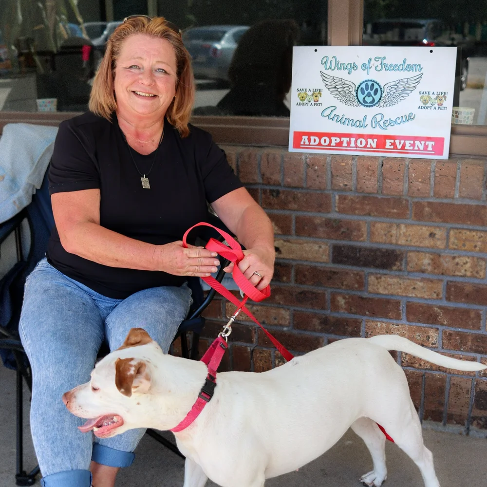 Foster a Rescue Dog — Wings of Freedom Animal Rescue | Connecticut ...