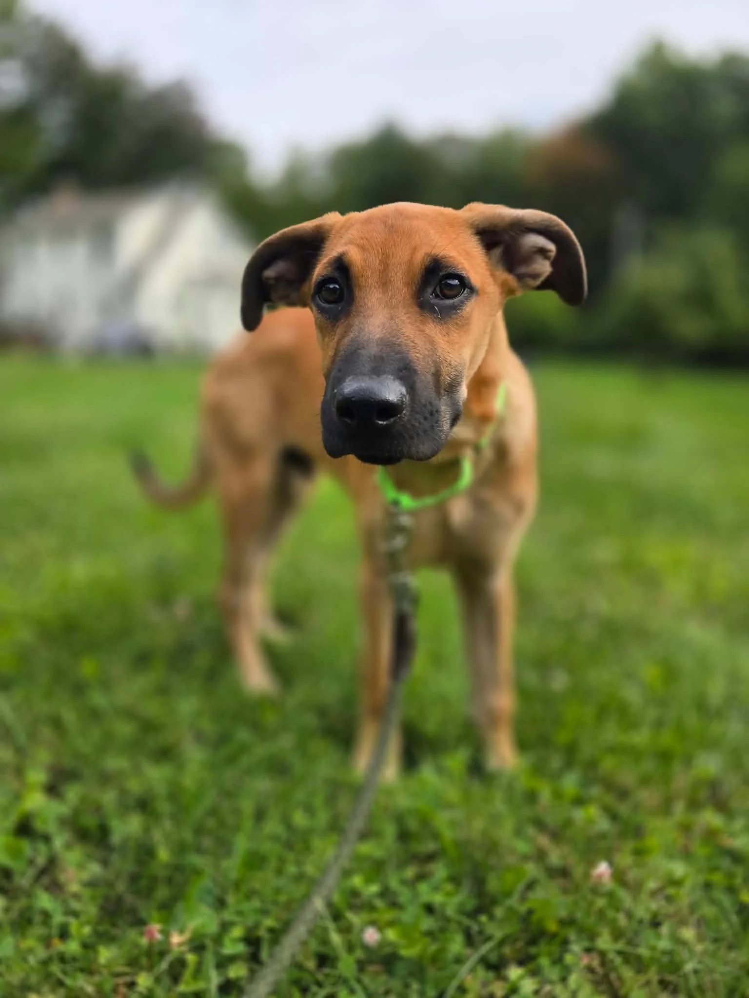 Meet Rucker!