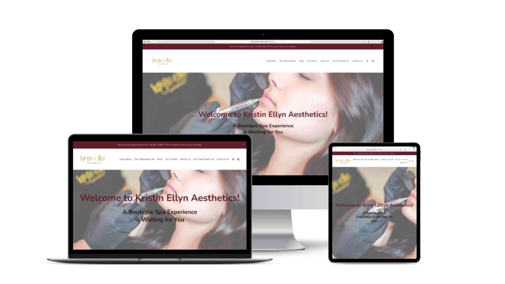 Kristin Ellyn Aesthetics Website (Copy)