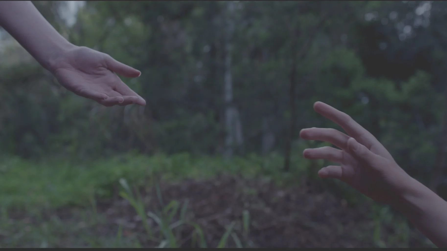 hands_1.159.2.jpg