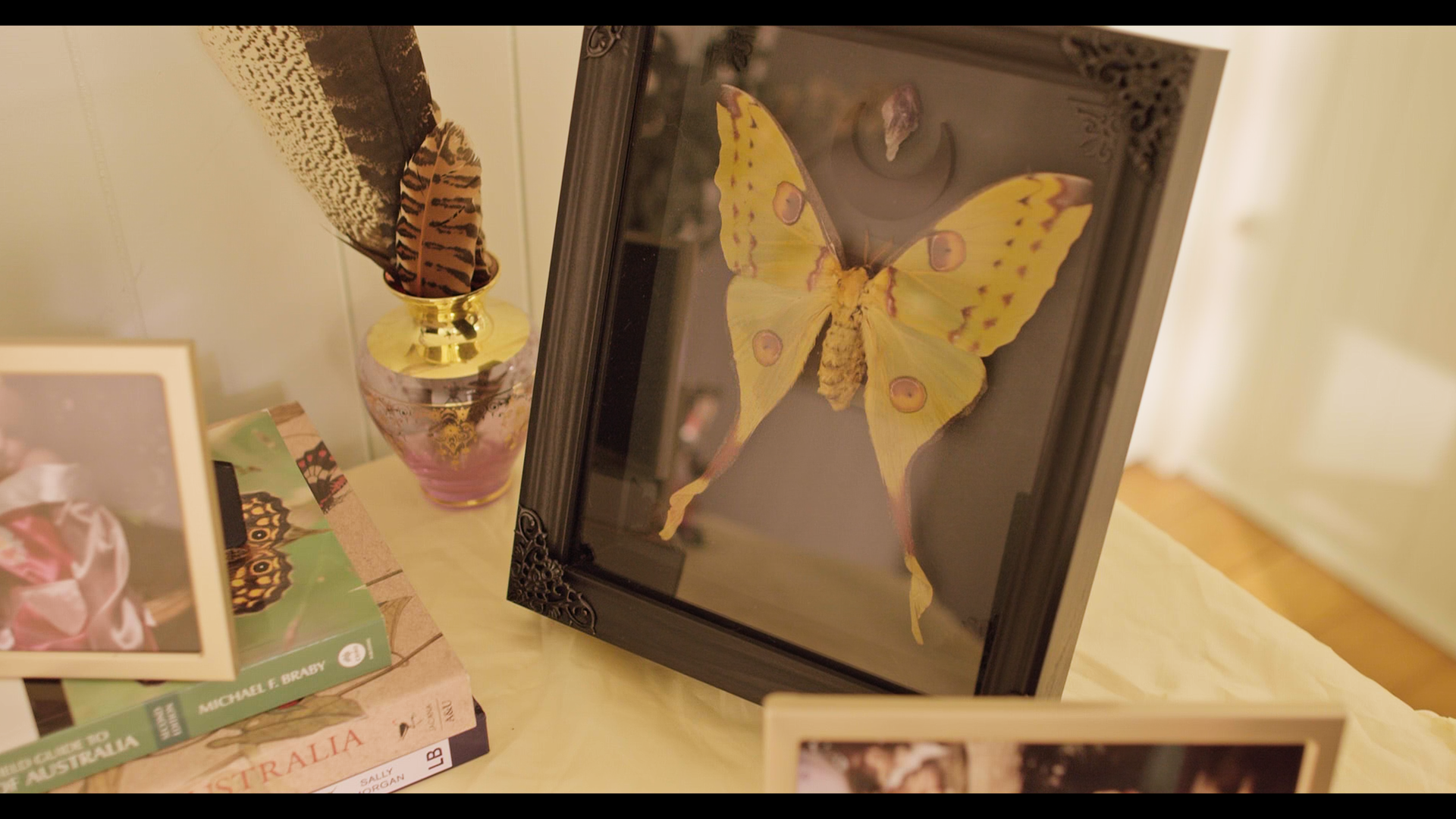 butterfly framed_1.178.1.png