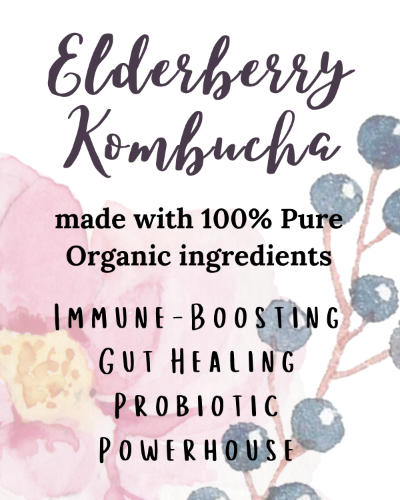 Organic Elderberry Kombucha