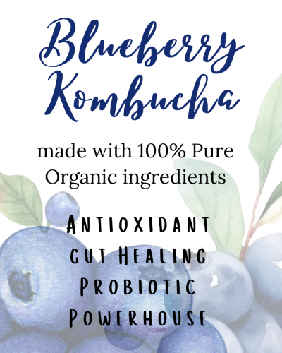 Organic Blueberry Kombucha