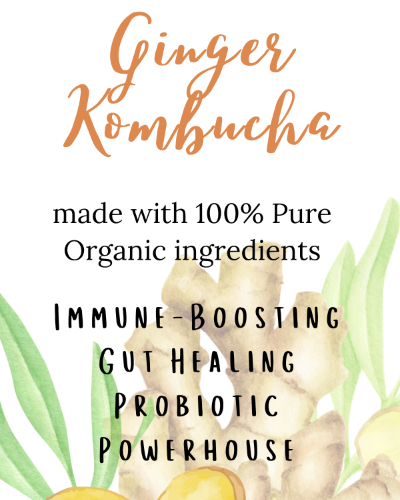 Organic Ginger Kombucha