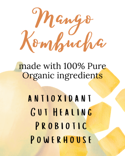 Organic Mango Kombucha