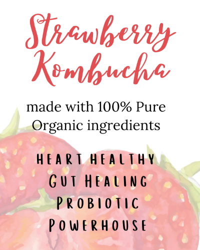 Organic Strawberry Kombucha