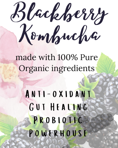 Organic Blackberry Kombucha