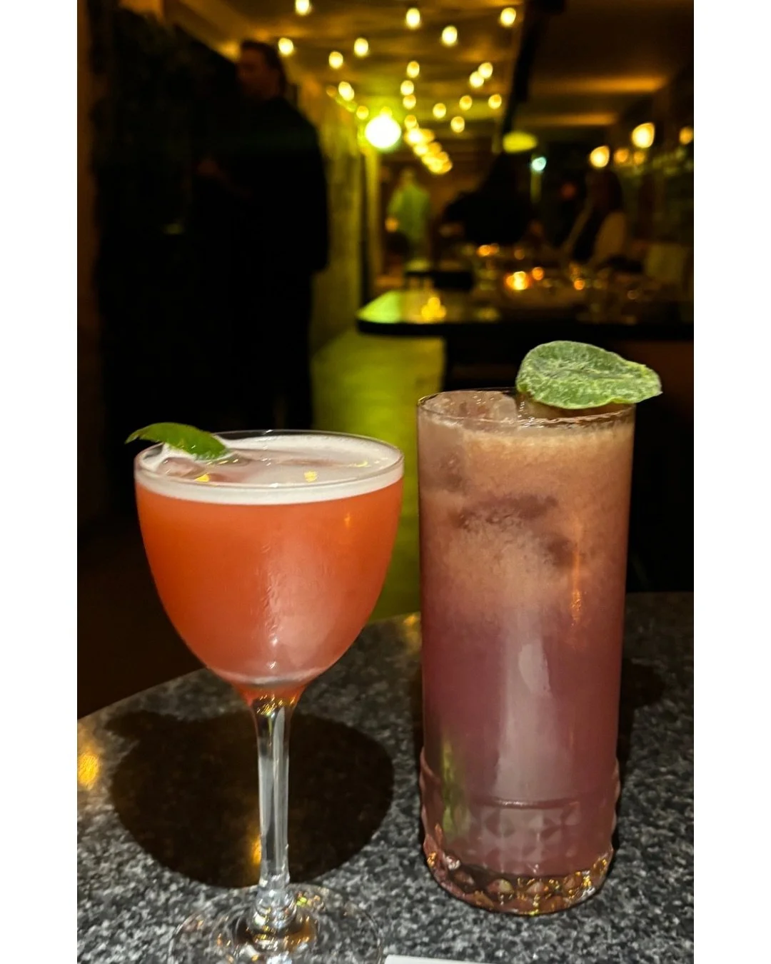 one cocktail usually turns into me staying for another round 🍸

#BarSotto #ChicagoCocktails #ChicagoBars #LoopChicago #ChicagoNightlife
