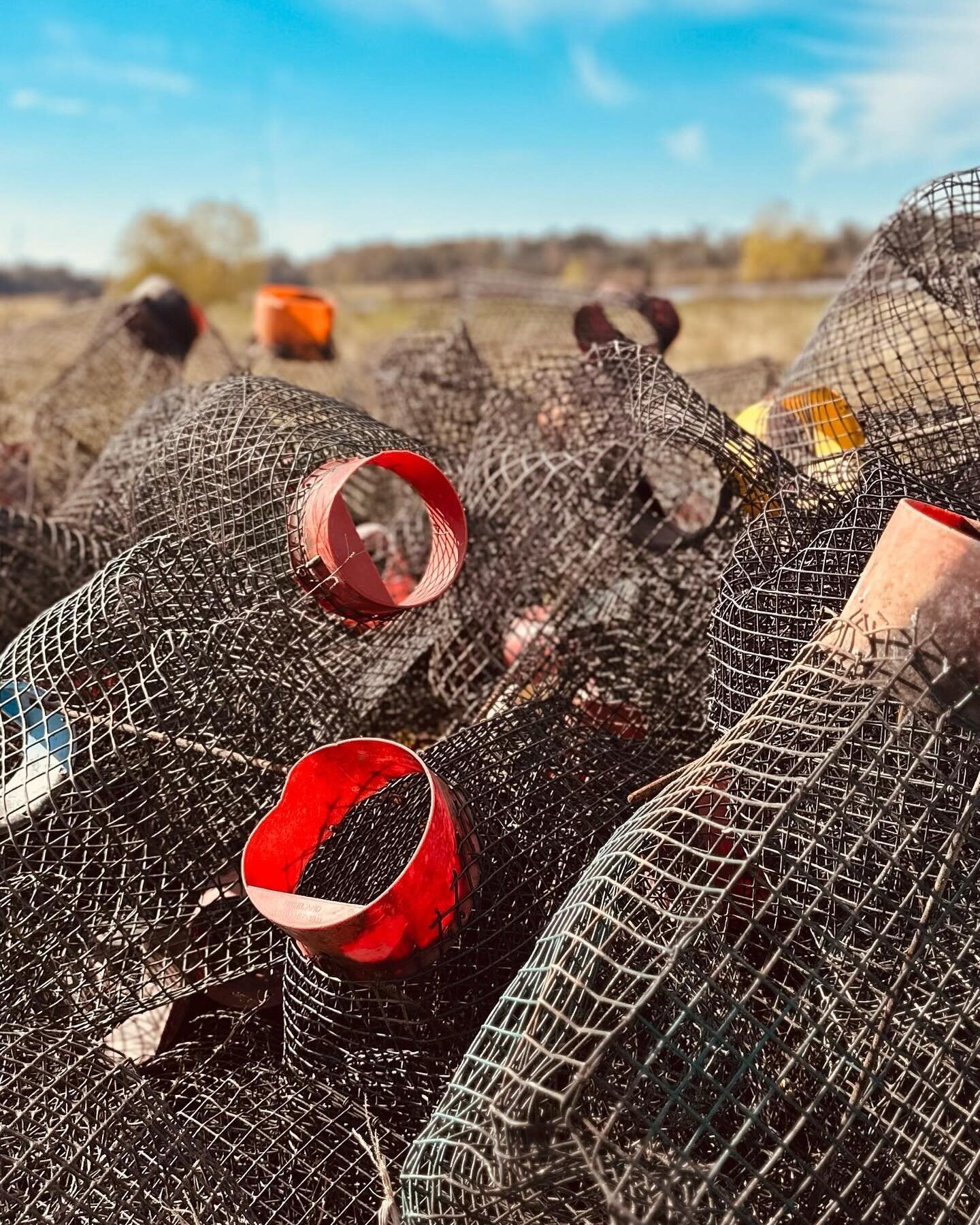 Gabe &amp; Kera recenty took a trip down to the family&rsquo;s crawfish farm and snapped these pictures for us! The old Andrus crawfish farmland is located in Branch, Louisiana. Along with this farm, they also have operations in Churchpoint, Lafayett