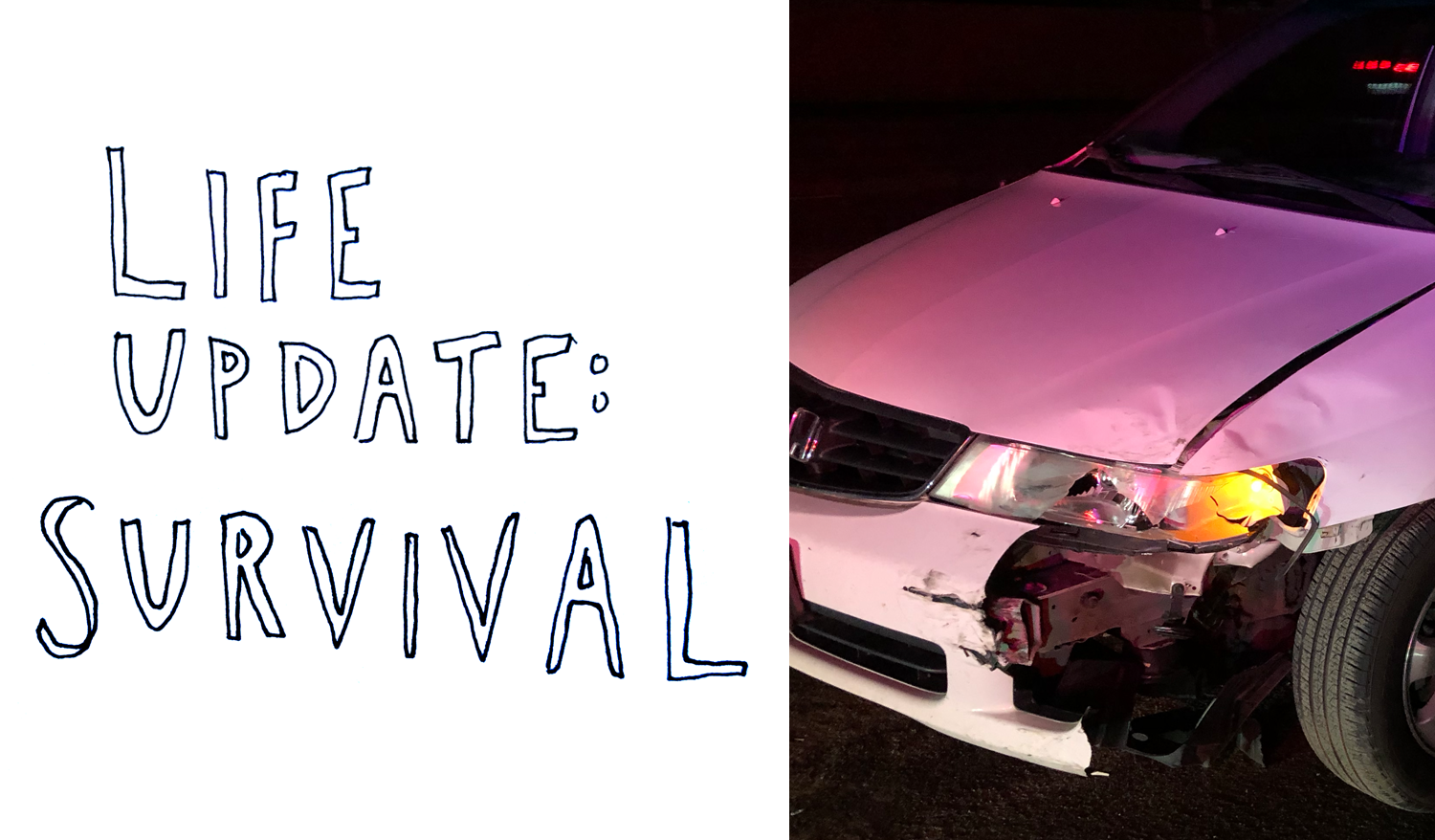 Episode 73: Life Update - Survival