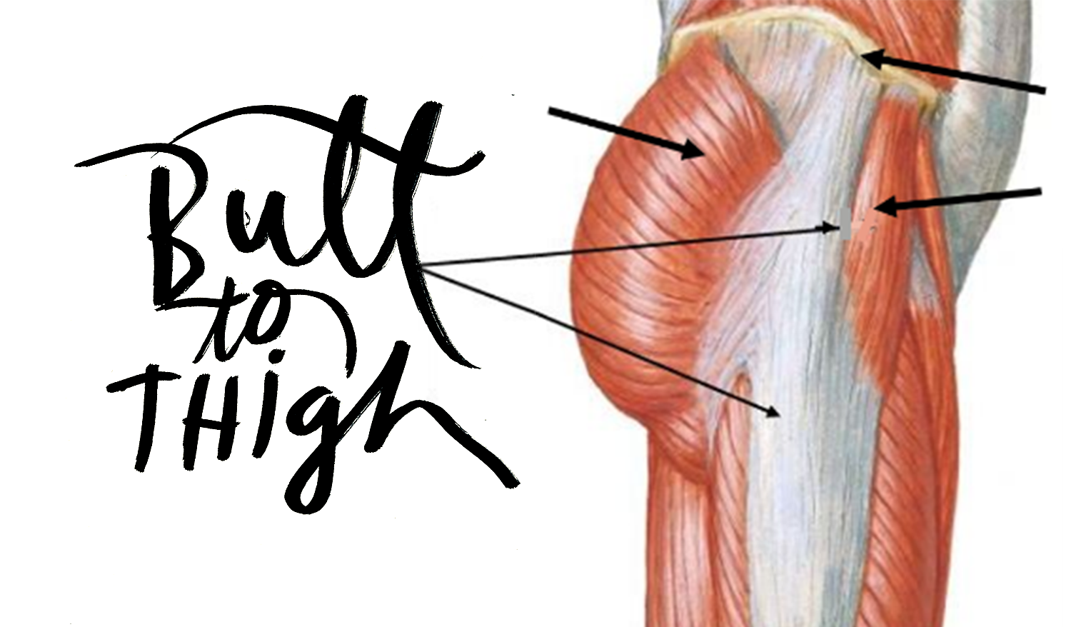 Episode 65: Butt To Thigh