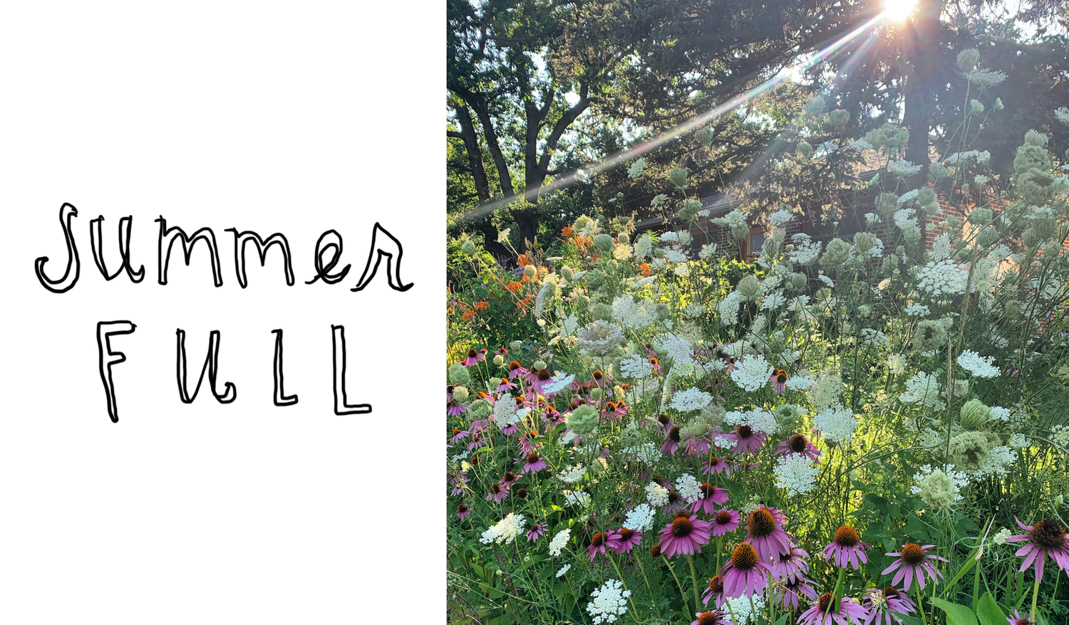 Episode 63: Summerfull