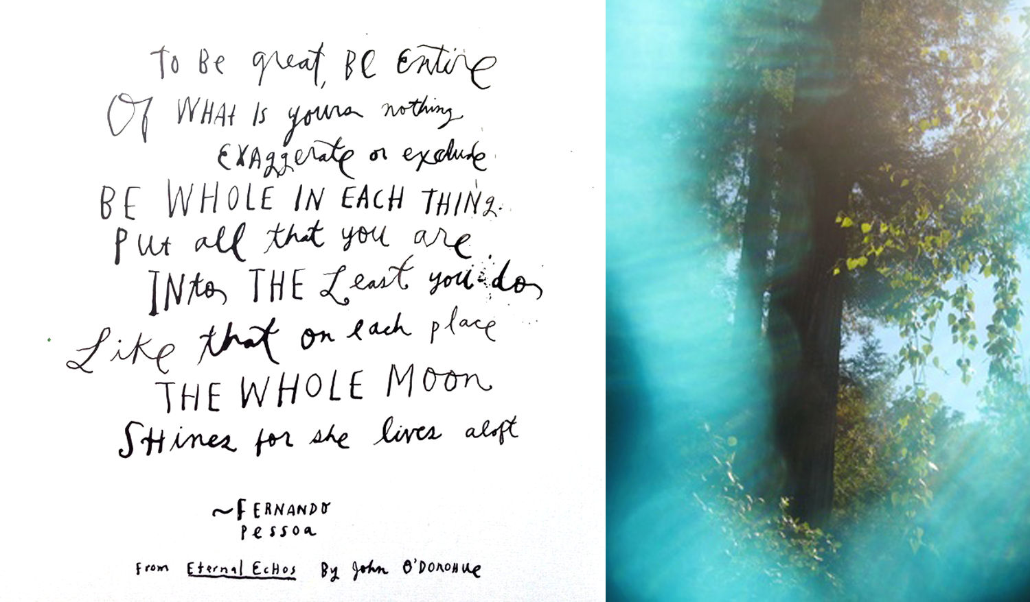 Episode 1: Love Fernando