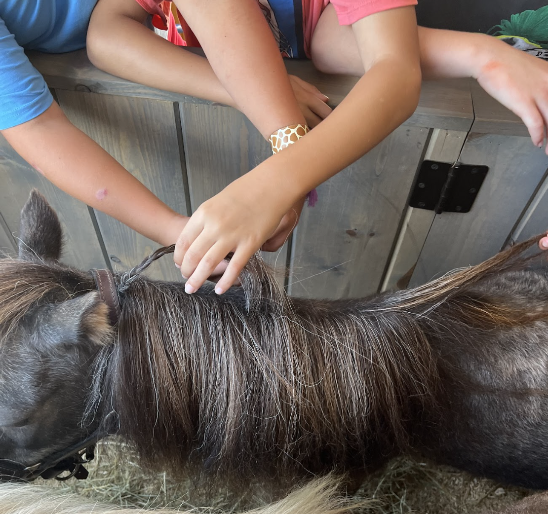 Webster County Farm Visit