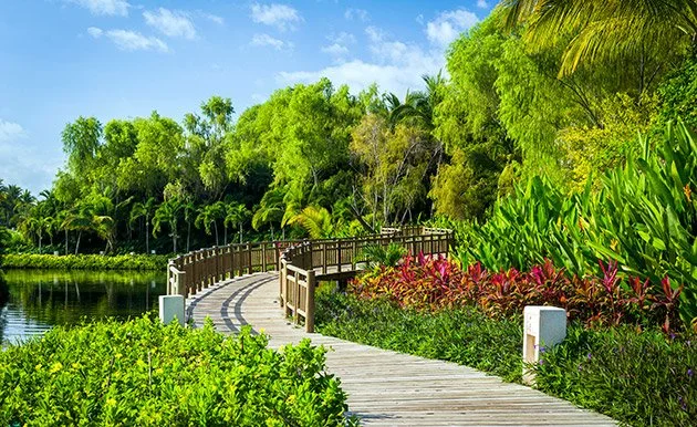 Vidanta Nuveo Vallarta, Mayan Palace grounds.jpg