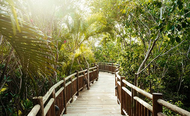 Vidanta Riviera Maya 1.jpg
