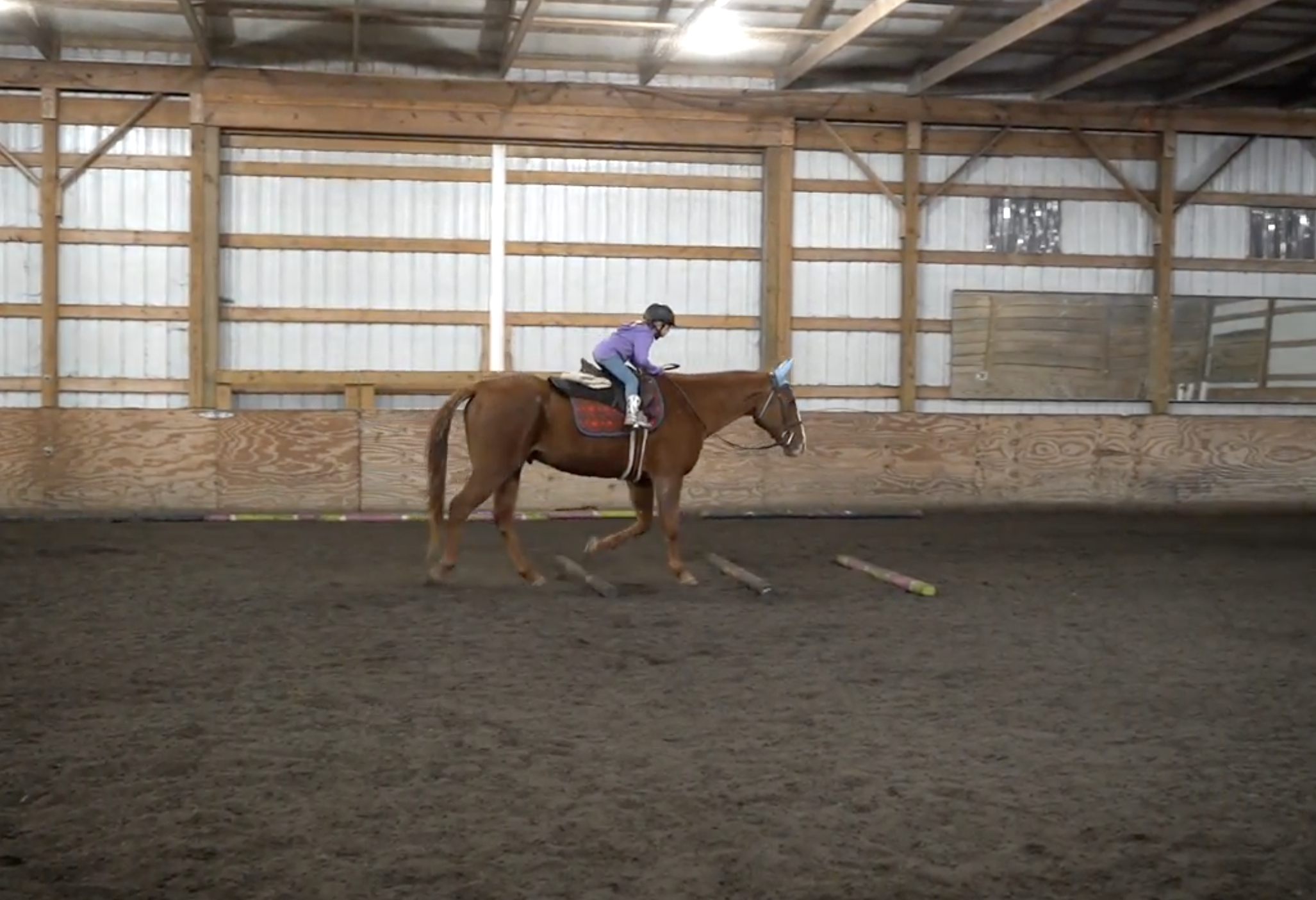 Screenshot 2024-11-05 at 9.18.43 AM.png