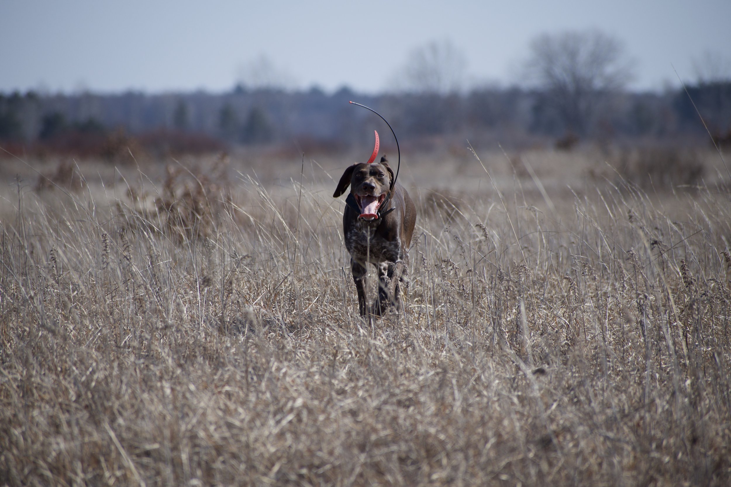 DSC_0192.jpeg
