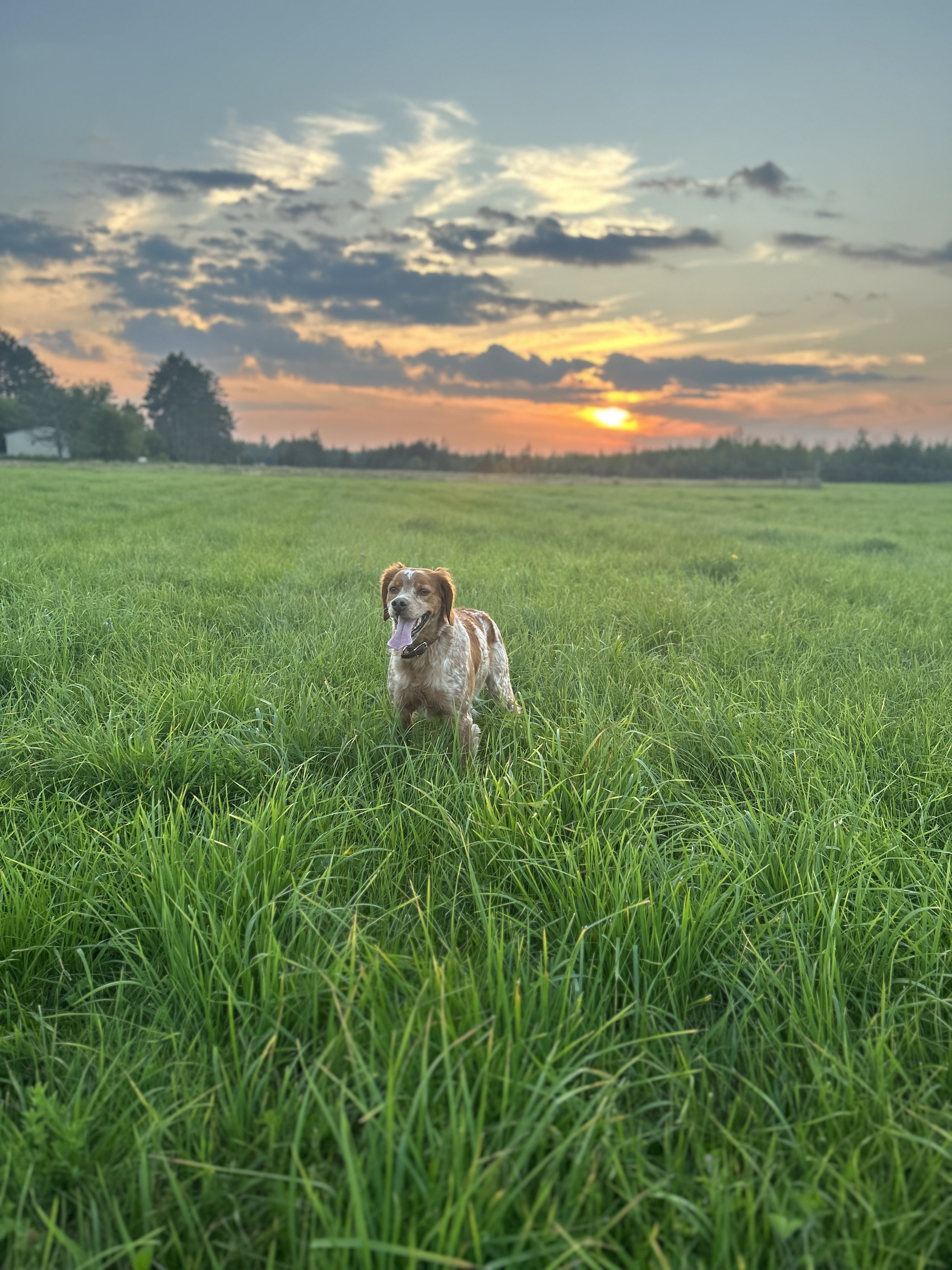 IMG_0506.jpeg