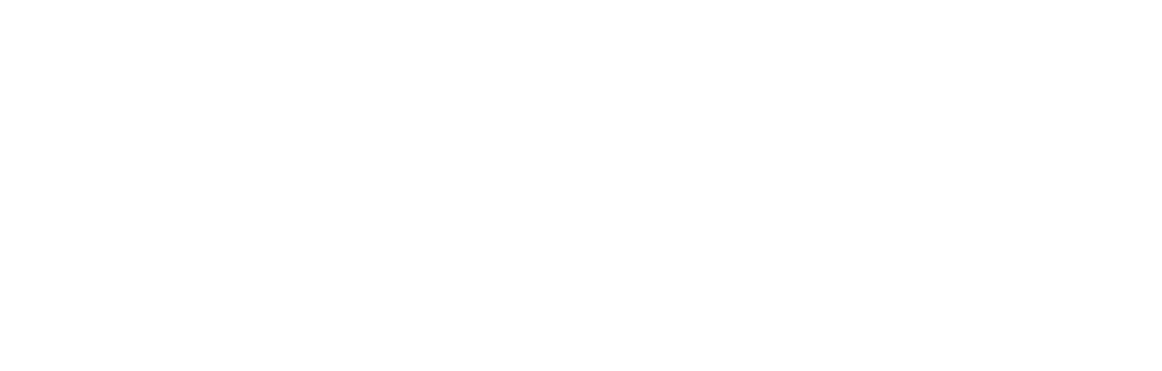 Craftsman Electrical