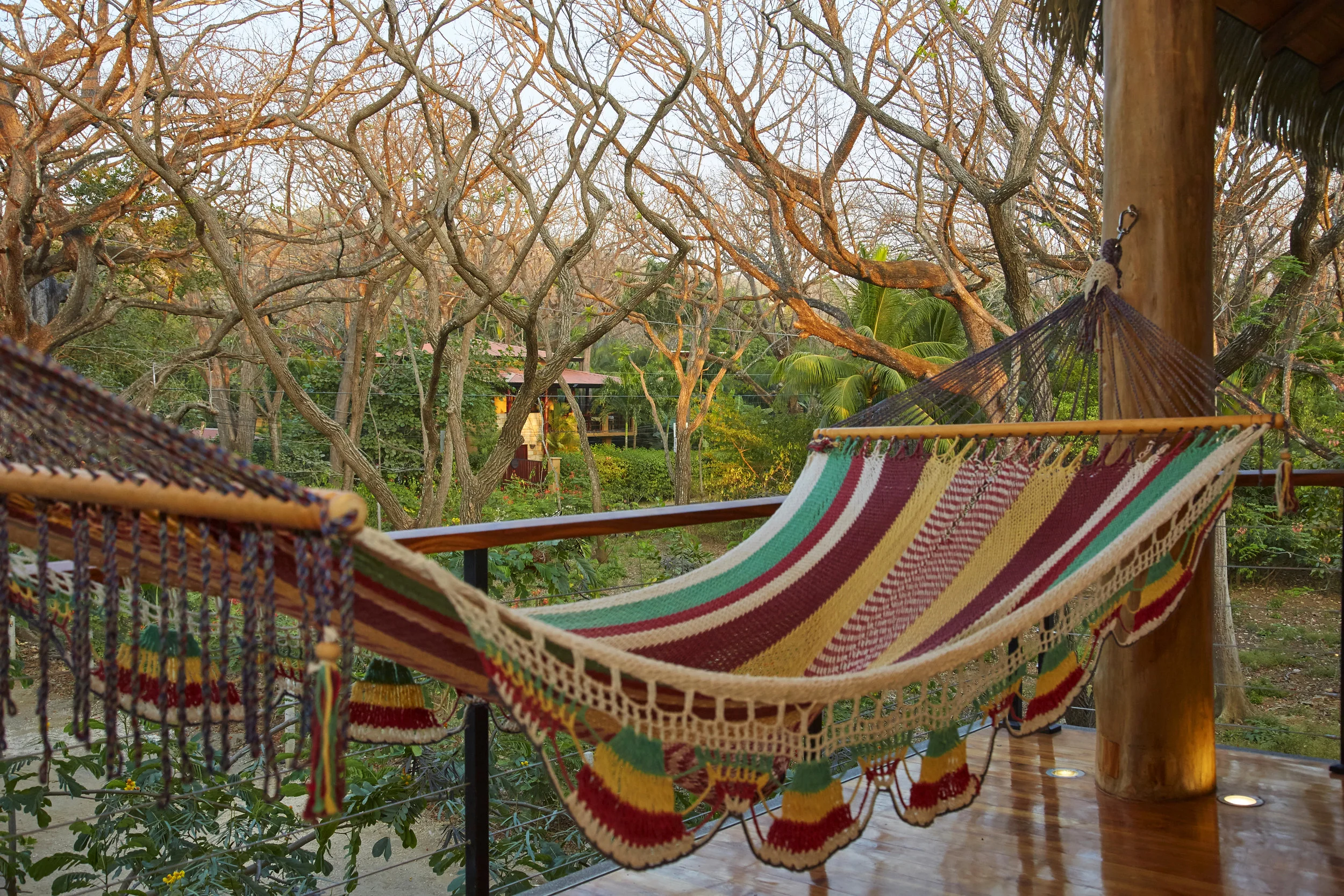 NOSARA-Walker_029 (1).jpg