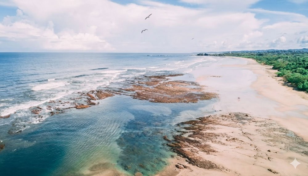 Purposeful Travel: How to Visit and Regenerate Nosara