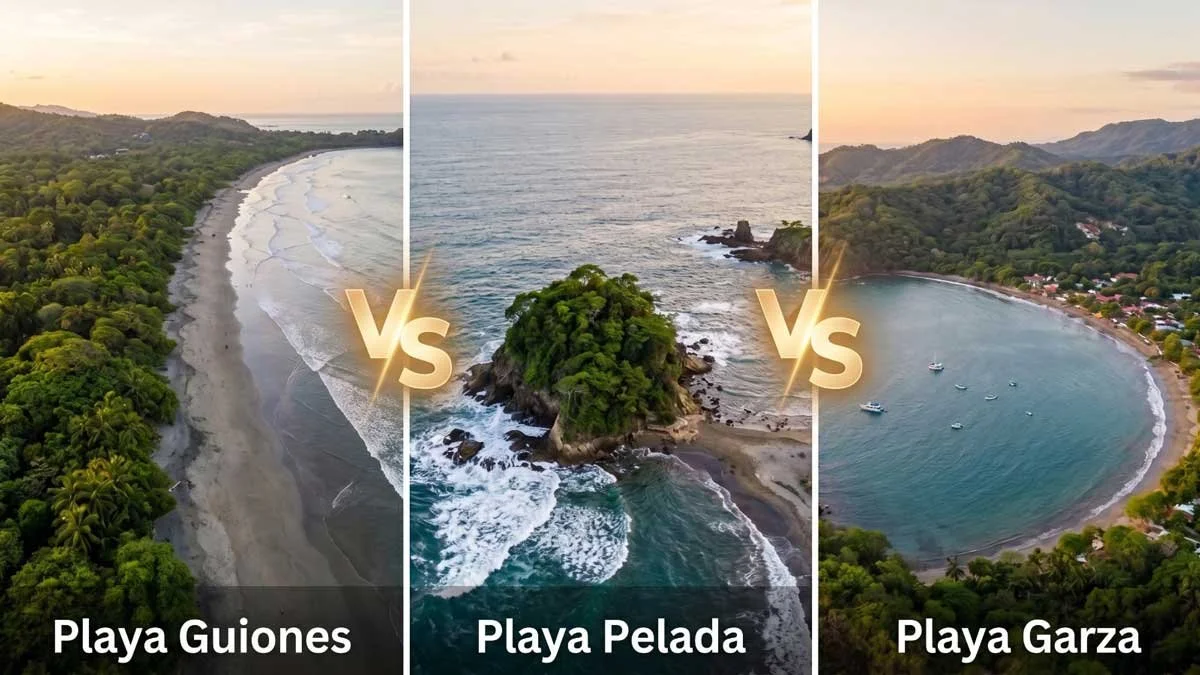 Guiones, Pelada, or Garza: Which Nosara Beach Is Right for You?