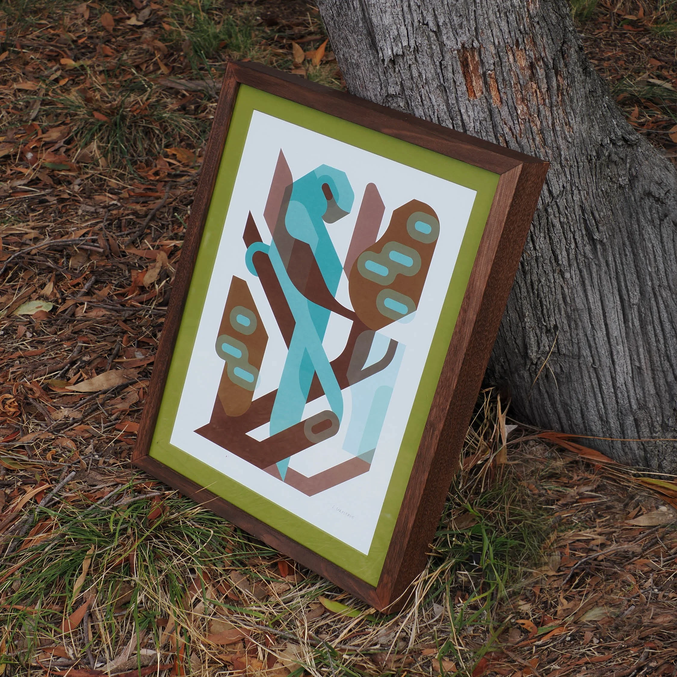 Red-rumped parrot Framed Print
