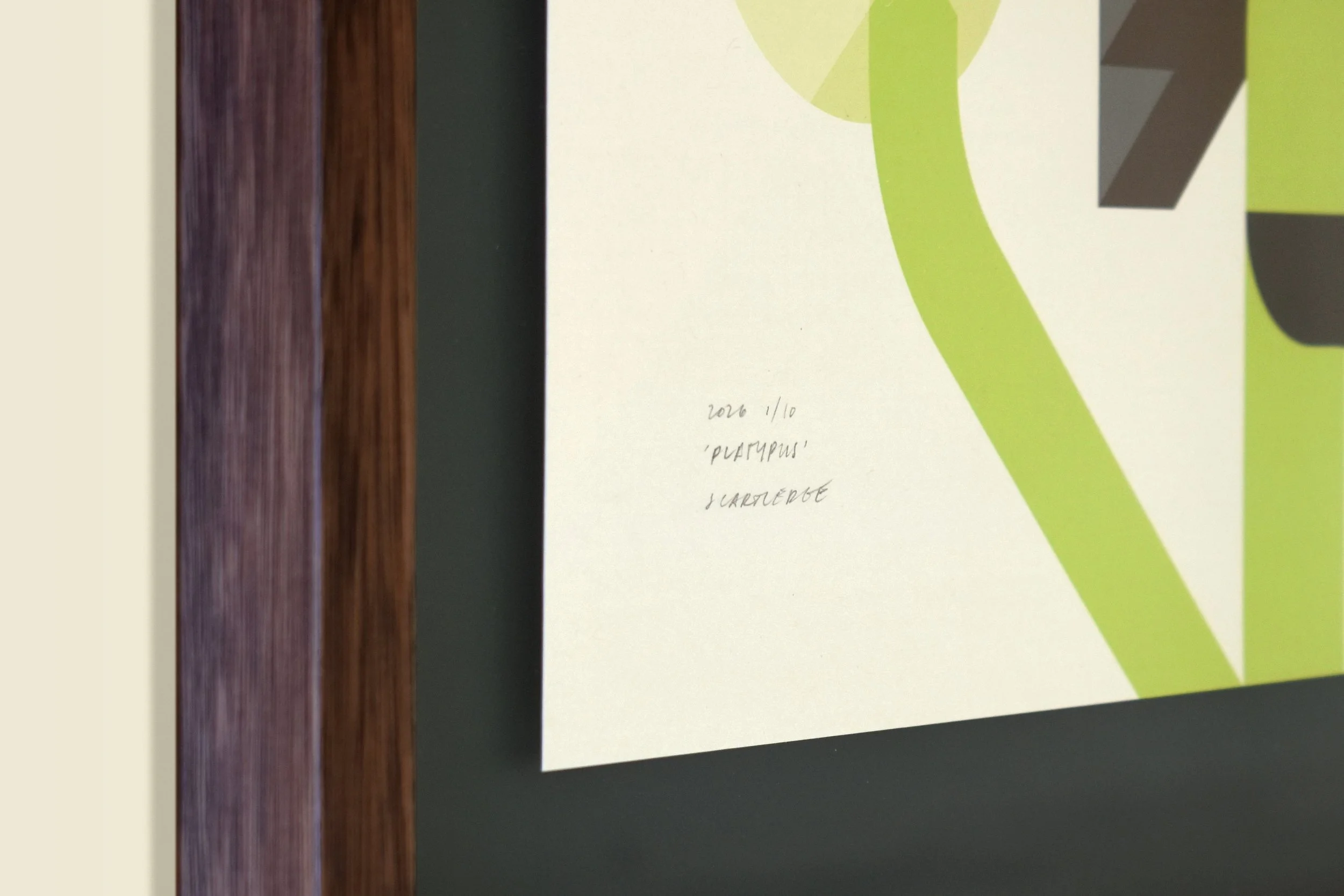 Shared Waters, Steph Cartledge Promo Pics PRINTS28.jpg (Copy)