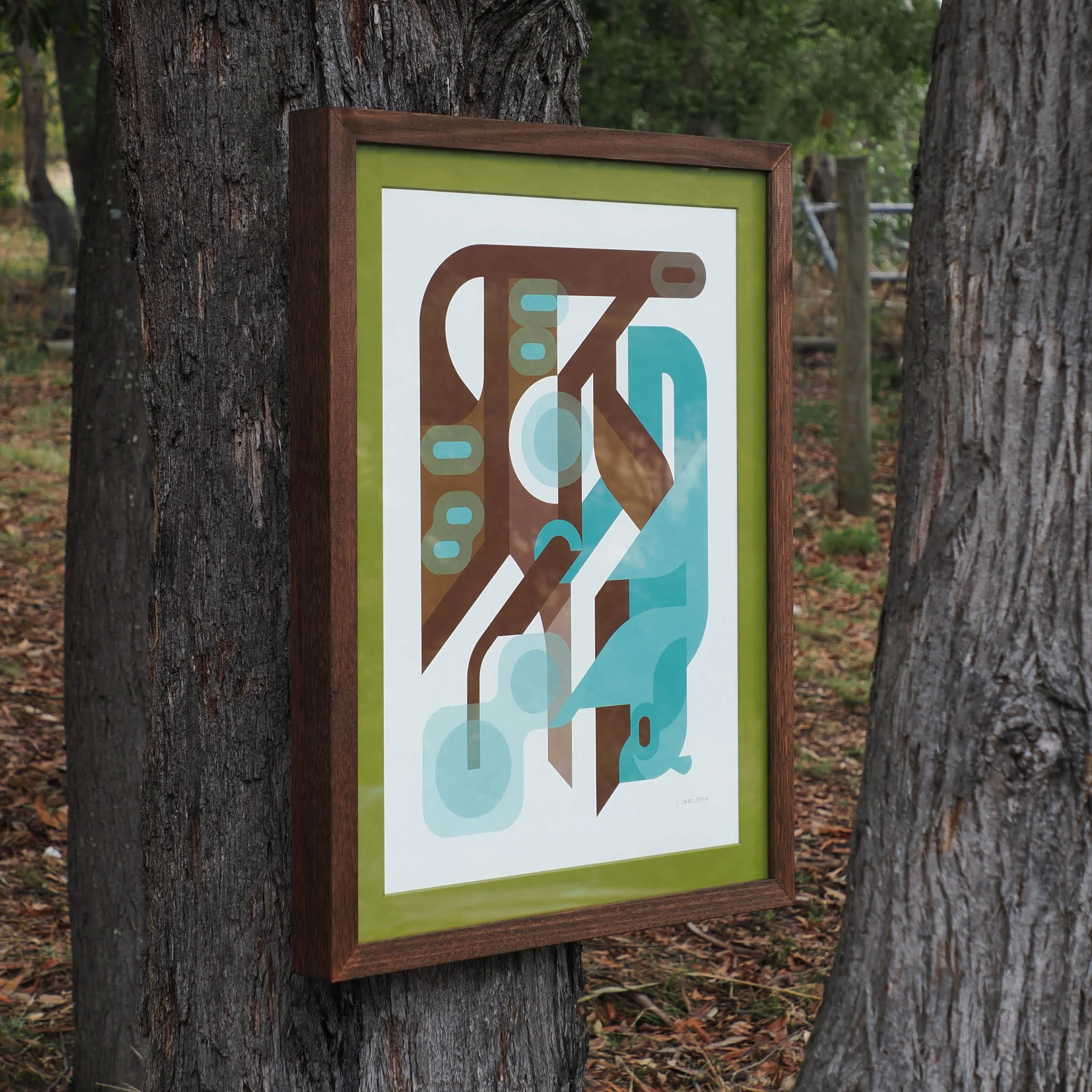 Sugar glider Framed Print