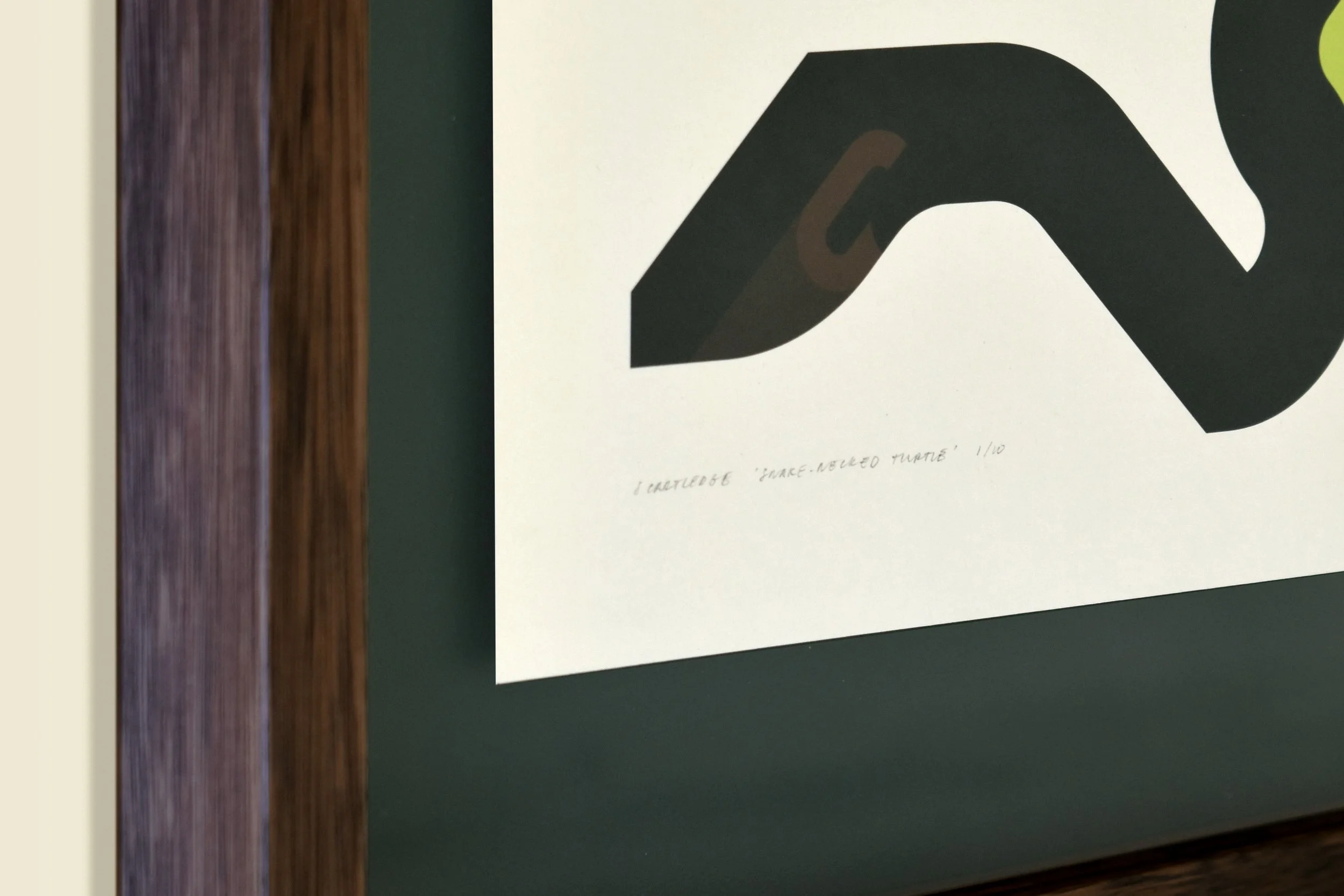 Shared Waters, Steph Cartledge Promo Pics PRINTS37.jpg