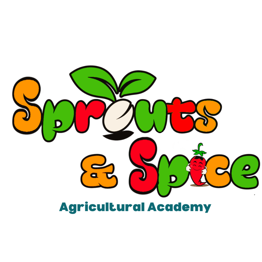 Sprouts And Spice Academy