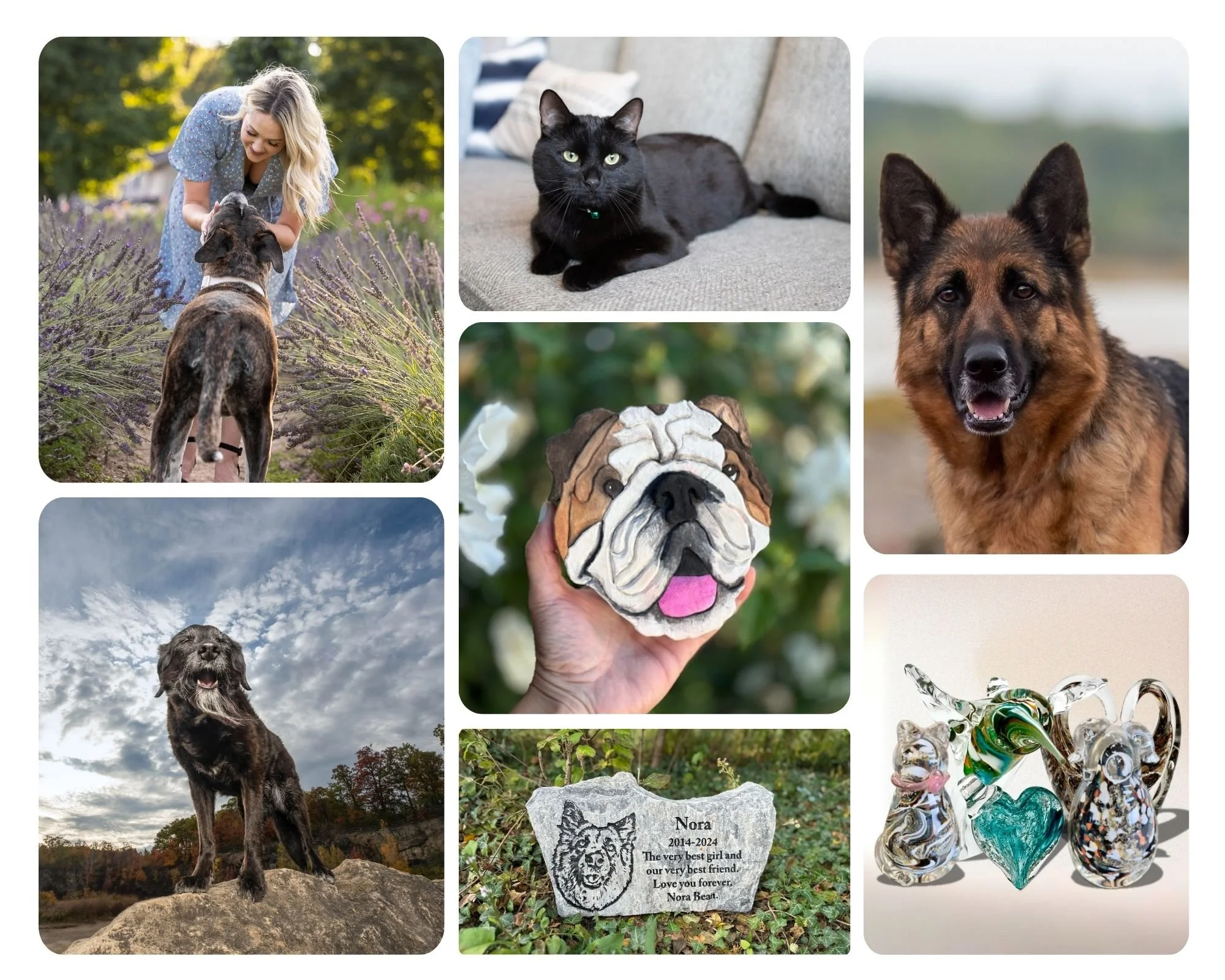 Memorialize your Beloved Pet