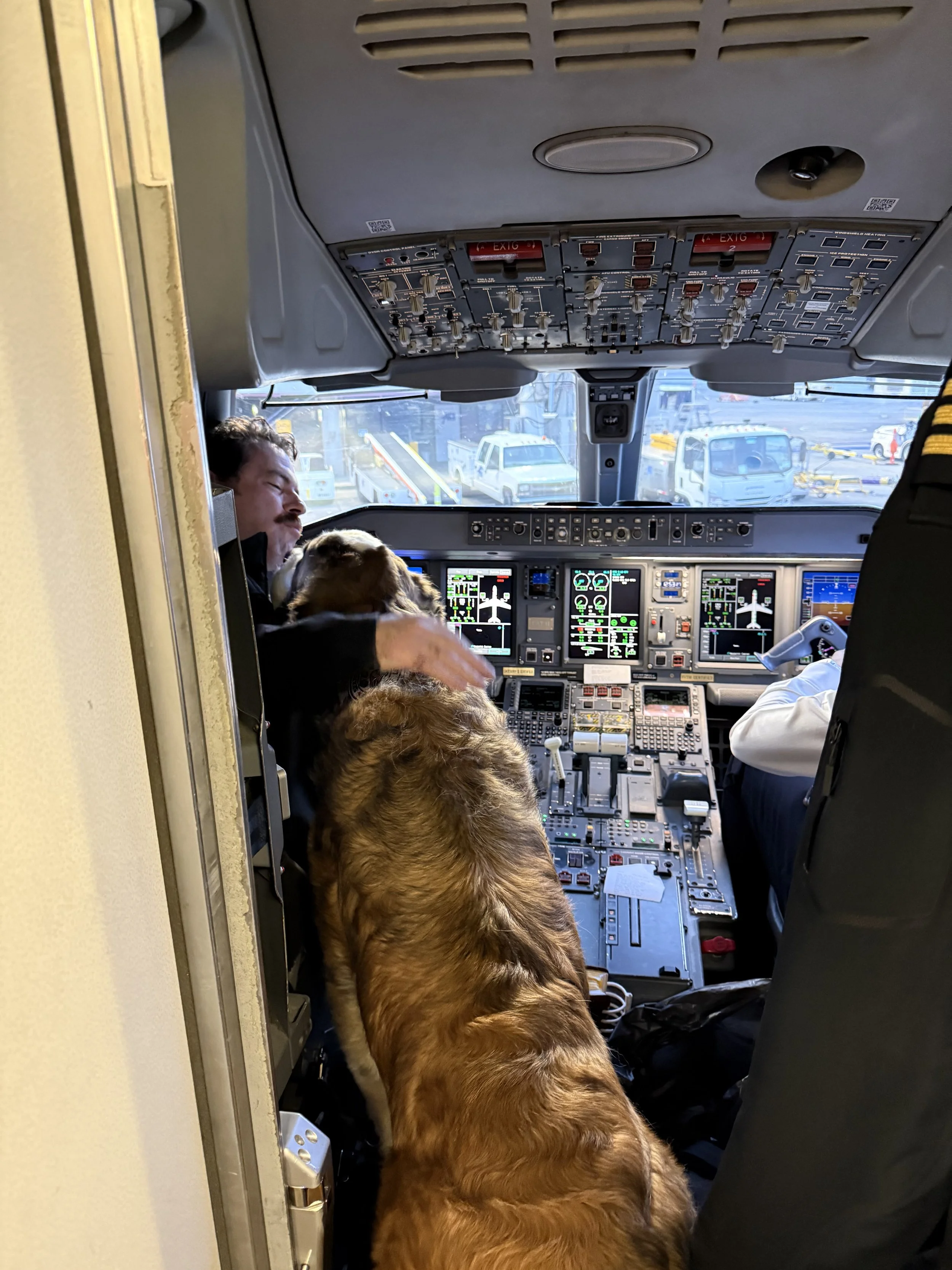 Inside the cockpit of an airplane with a pilot, a flight attendant, and a dog. The scene shows the controls and screens of the aircraft's cockpit.