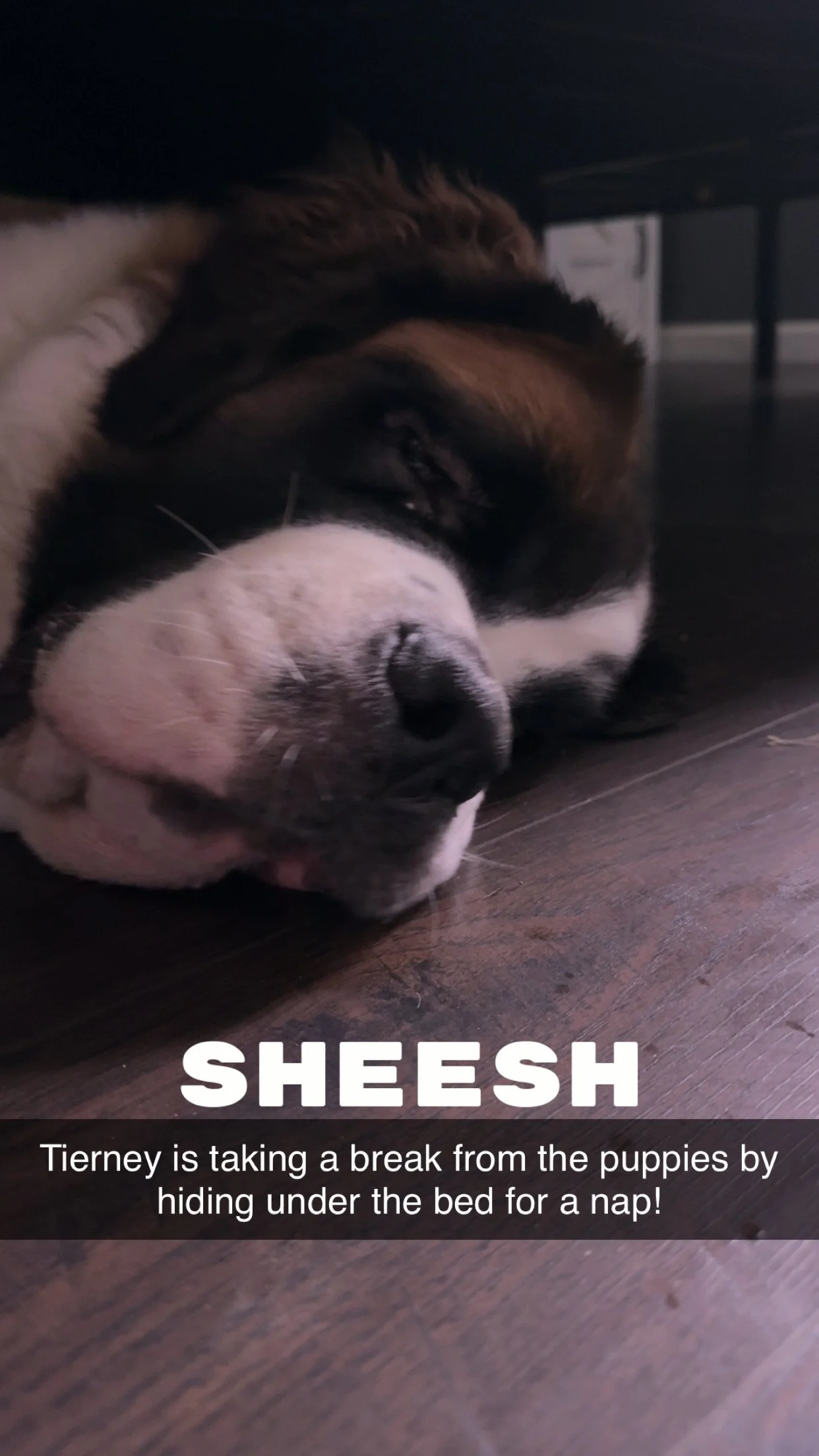 16307EFE-5C31-4A89-A2FF-6538633C5EE5.jpeg