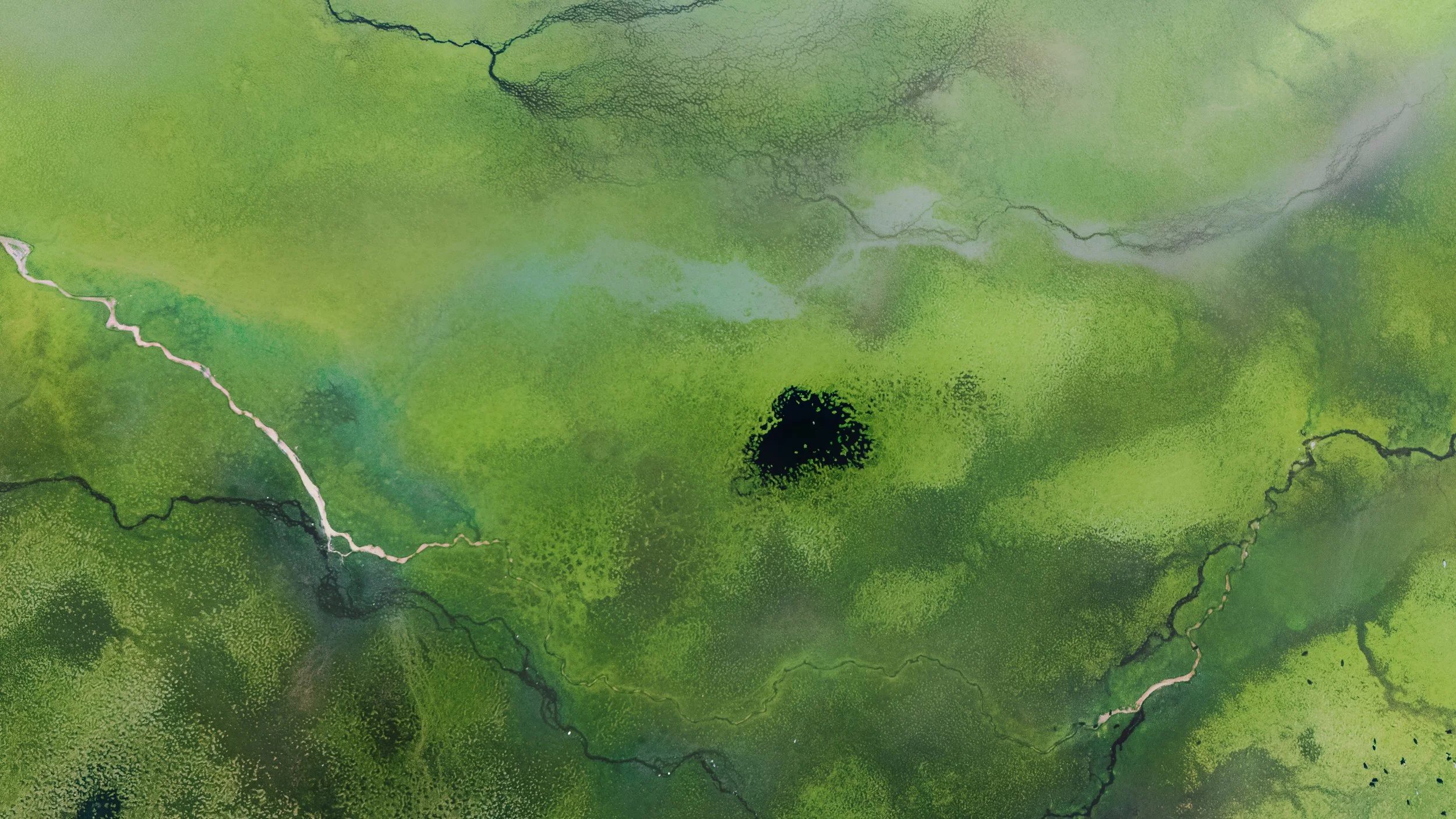 vantage_lagoon.jpg