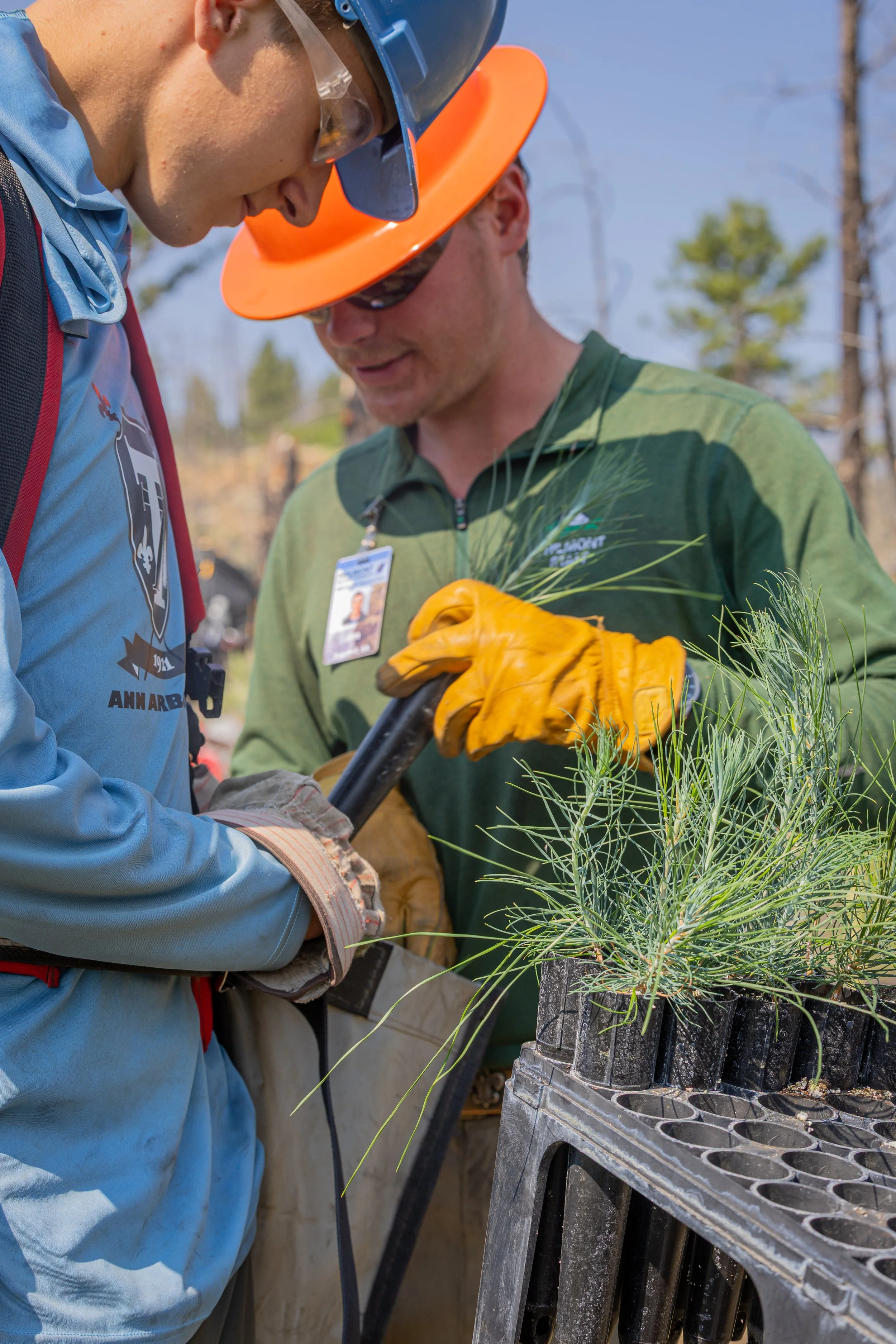 20250717_Jmanipella_CitaInaguralTreePlanting (136 of 493).jpg