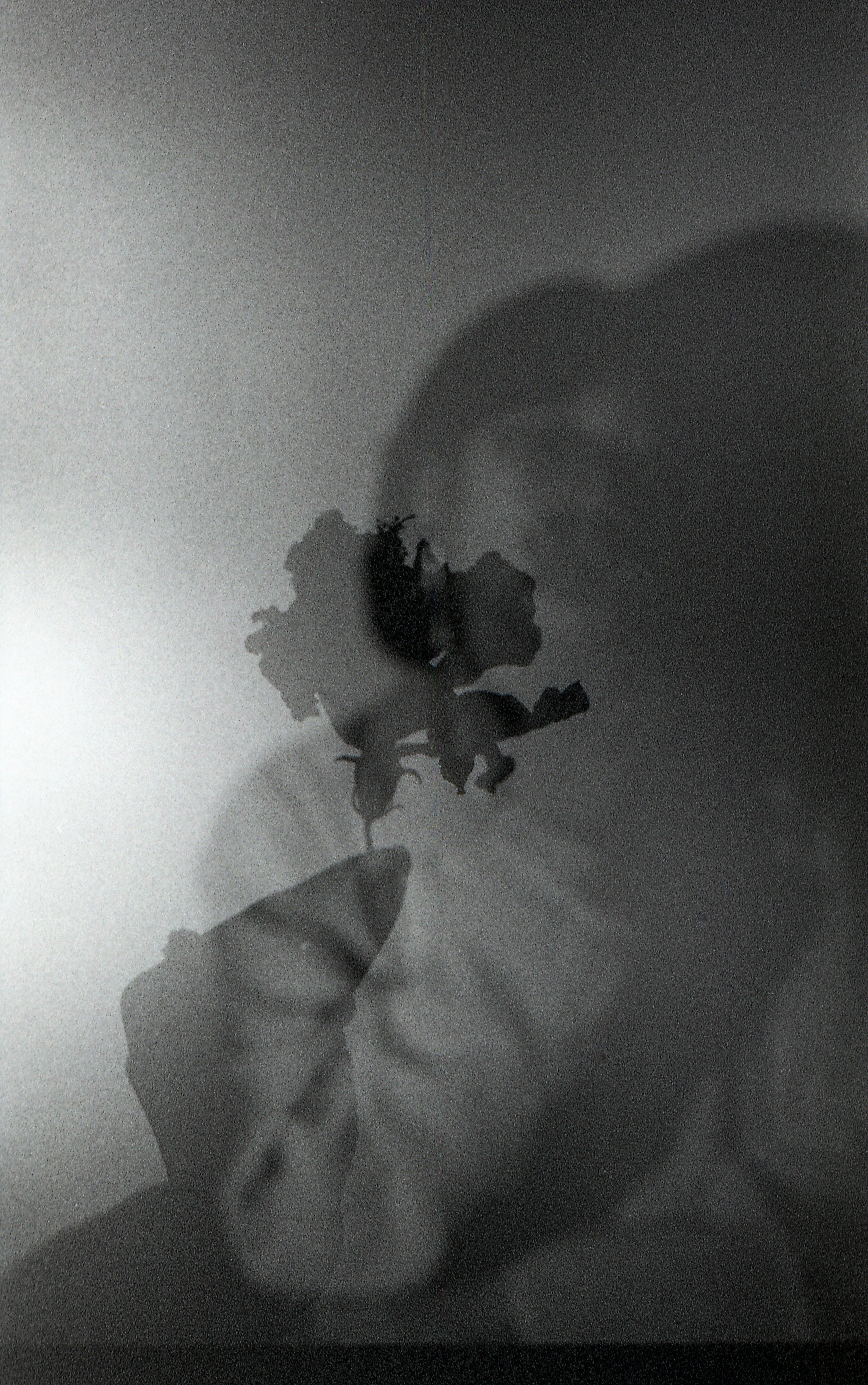 img267.jpg