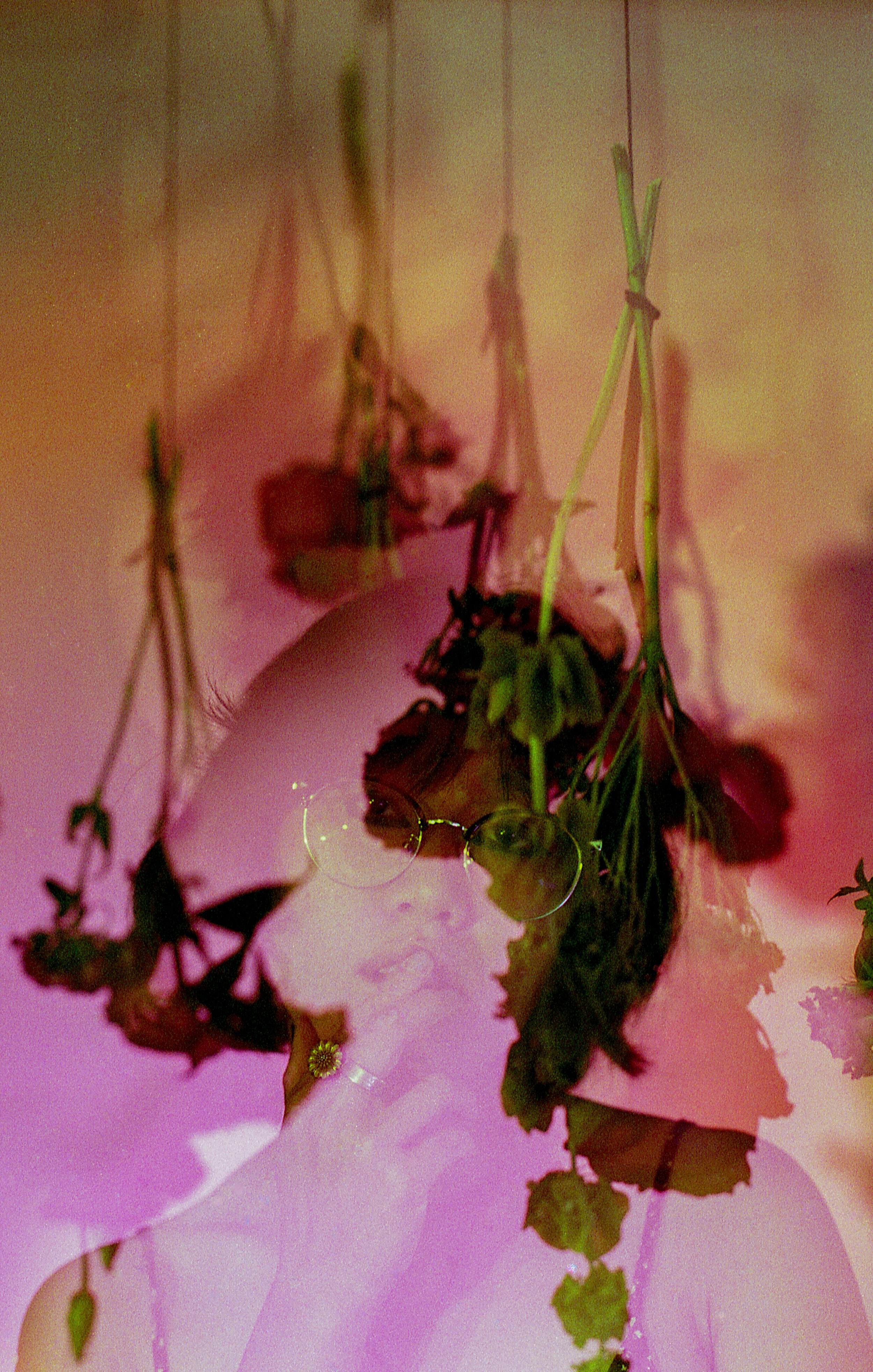 img309.jpg