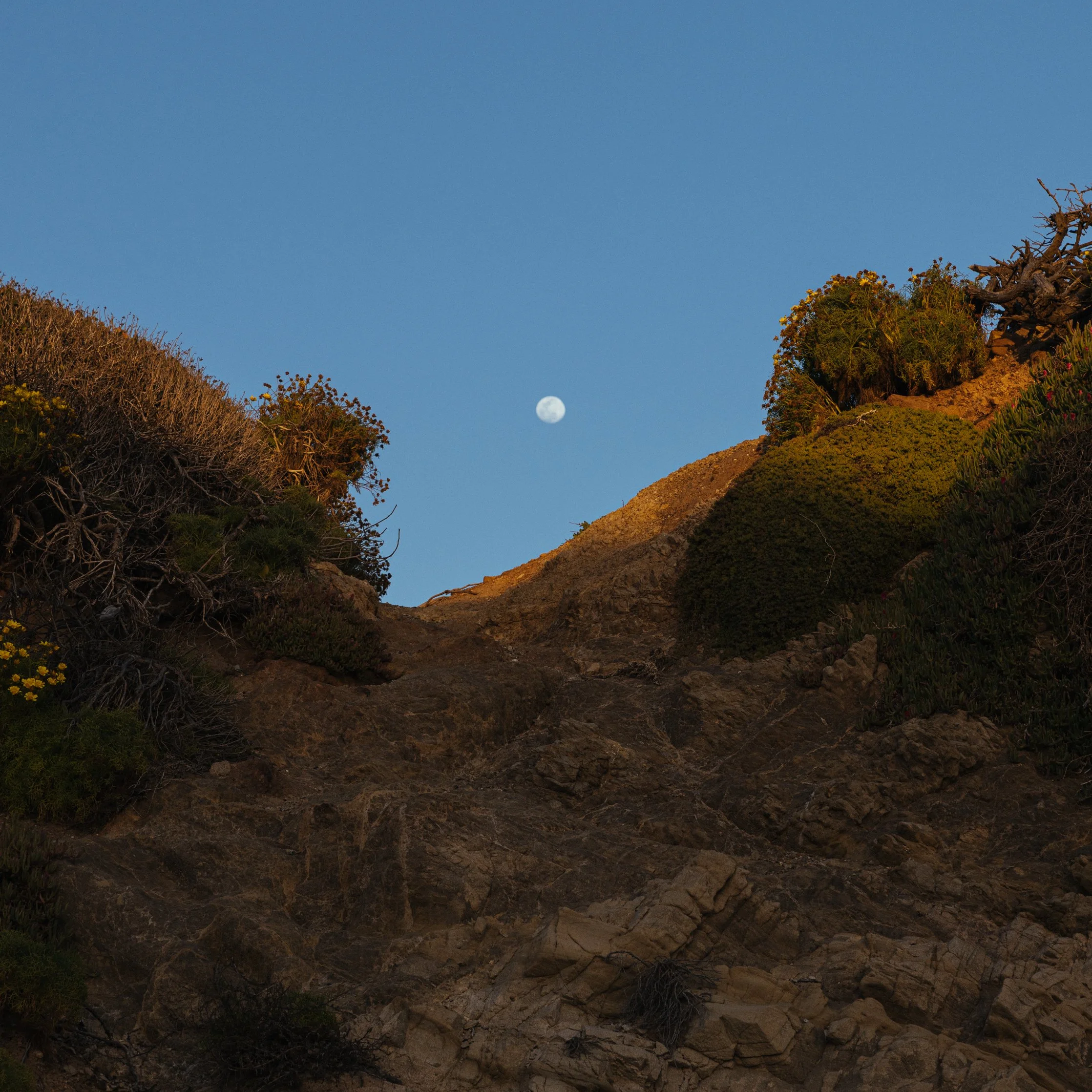 Find Us — One Moon