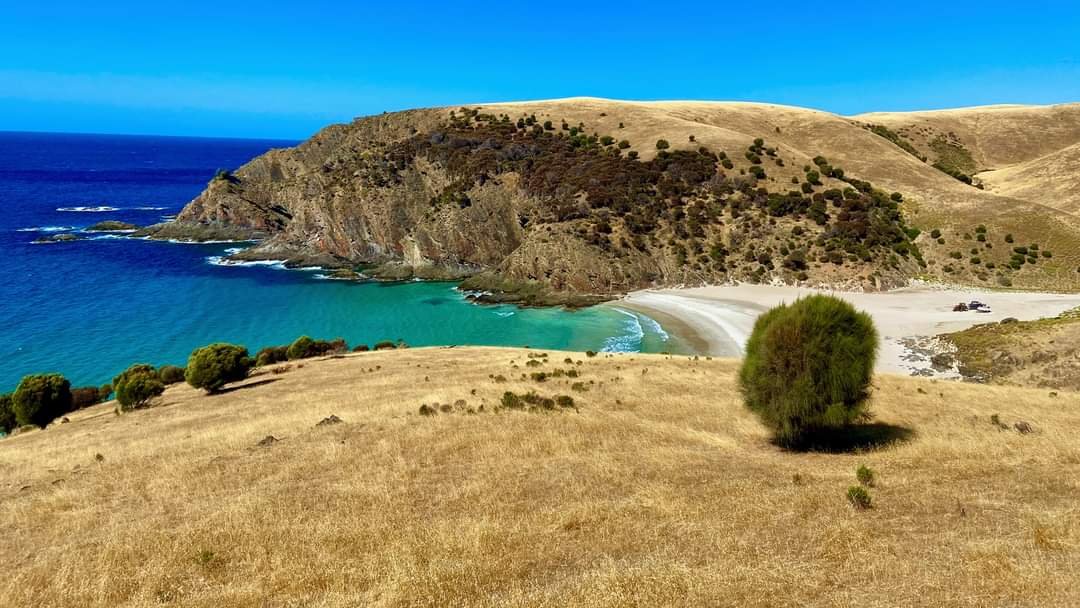 A coastal landscape with a sandy beach, turquoise ocean, and a large hill covered in dry grass and sparse bushes.