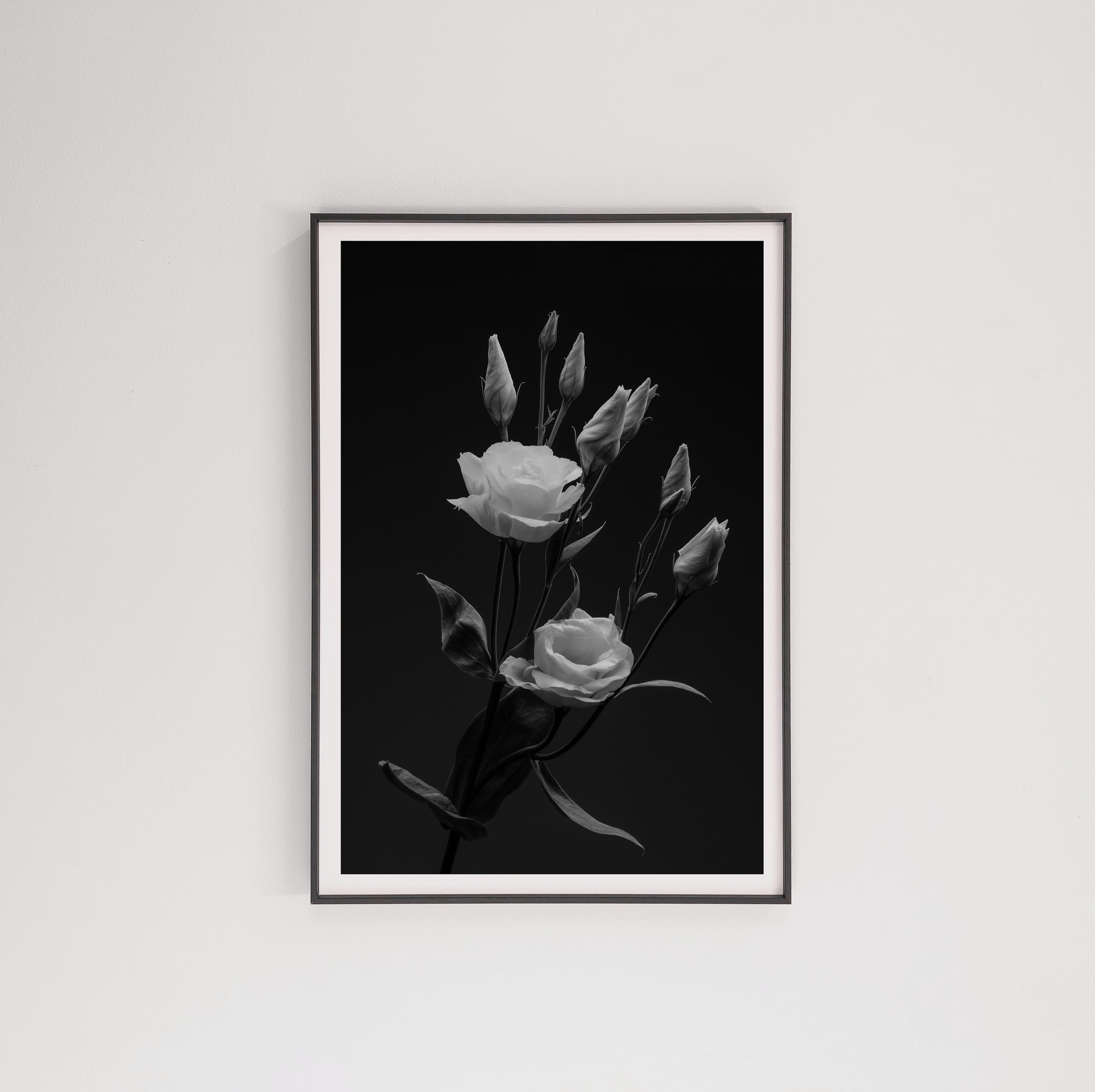 Palsikone+aluwood+black+4.jpg